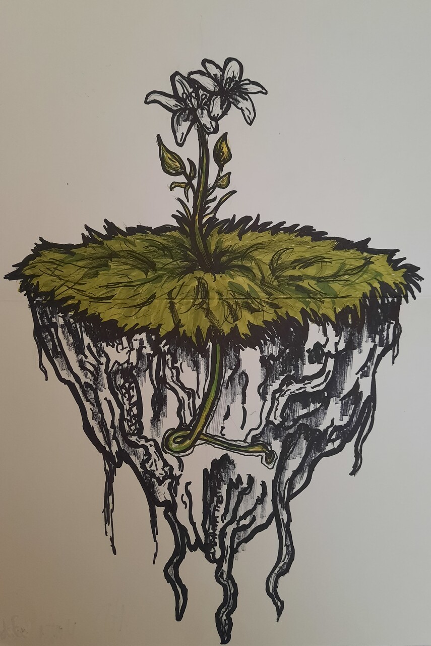 1_Easy-Resize.com (6)