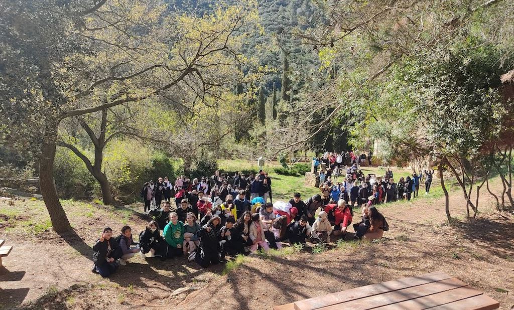 Portada-Niu de l'aliga - Jordi Ochoa González