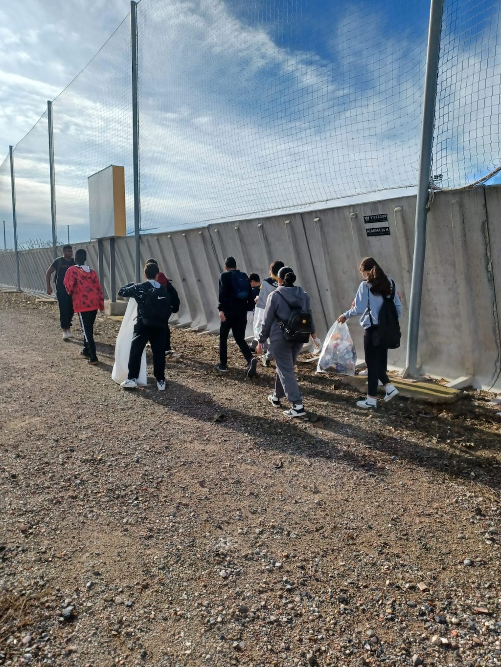 Recollida brossa 1 - Maria Isabel Gonzalez