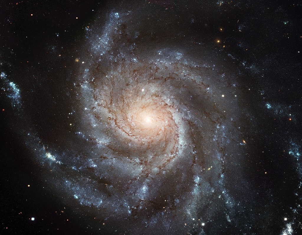 M101 Foto - David Taratiel