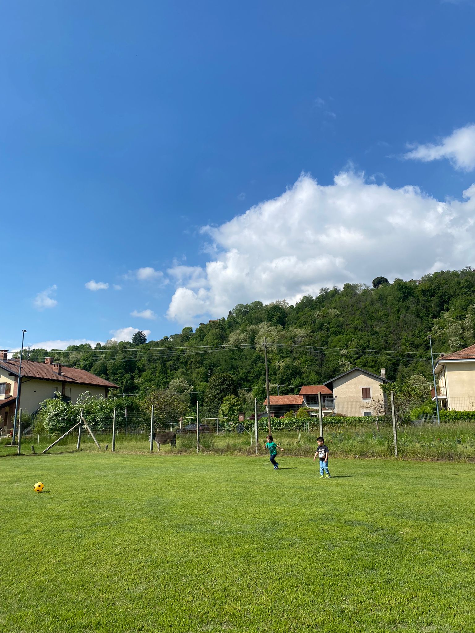 WhatsApp Image 2024-07-01 at 19.03.48