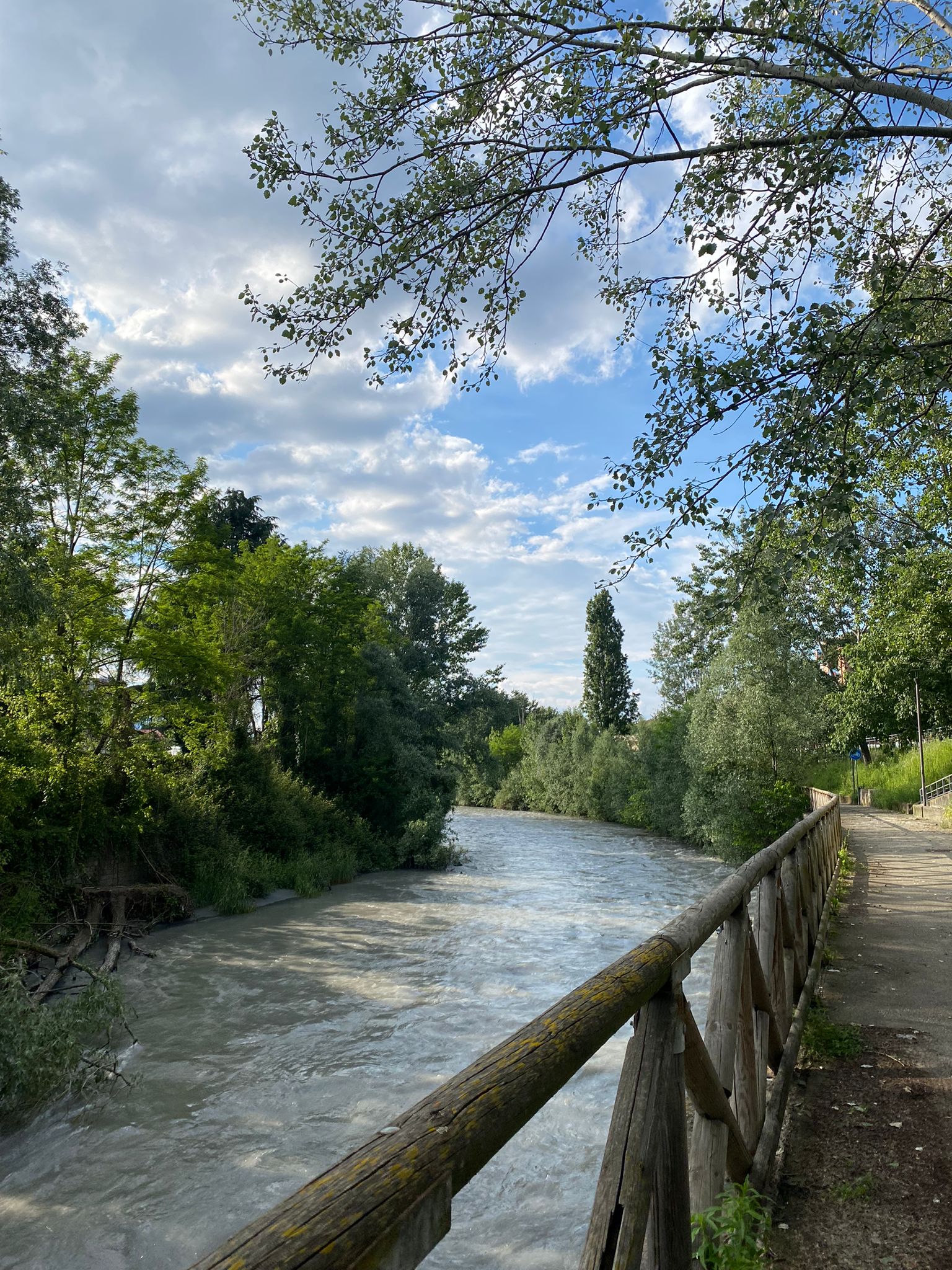 WhatsApp Image 2024-07-01 at 19.03.50