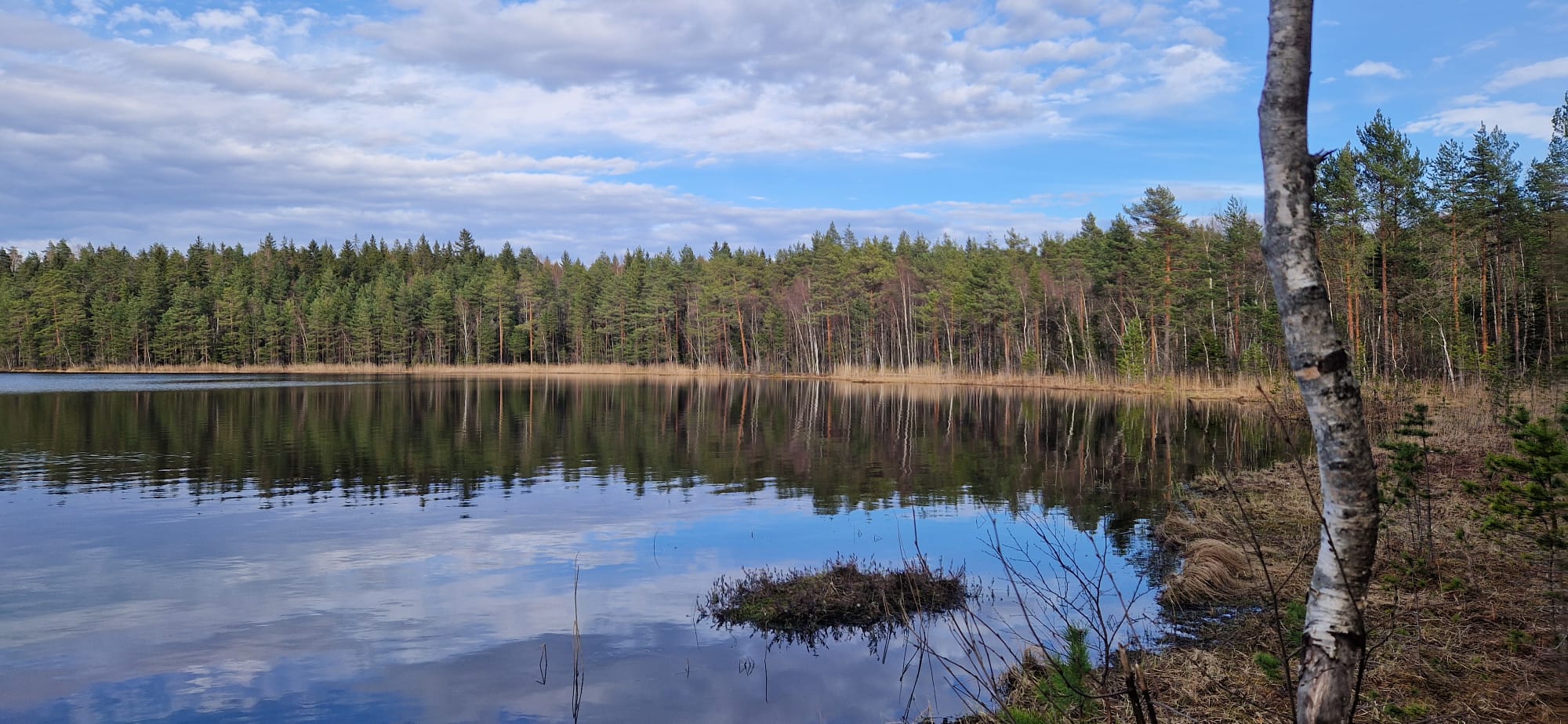 WhatsApp Image 2025-04-30 at 11.22.31