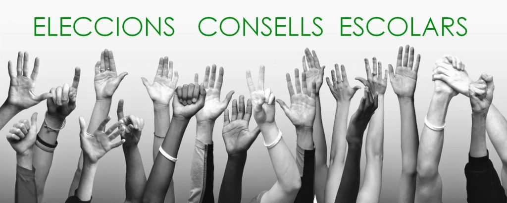 consell escolar