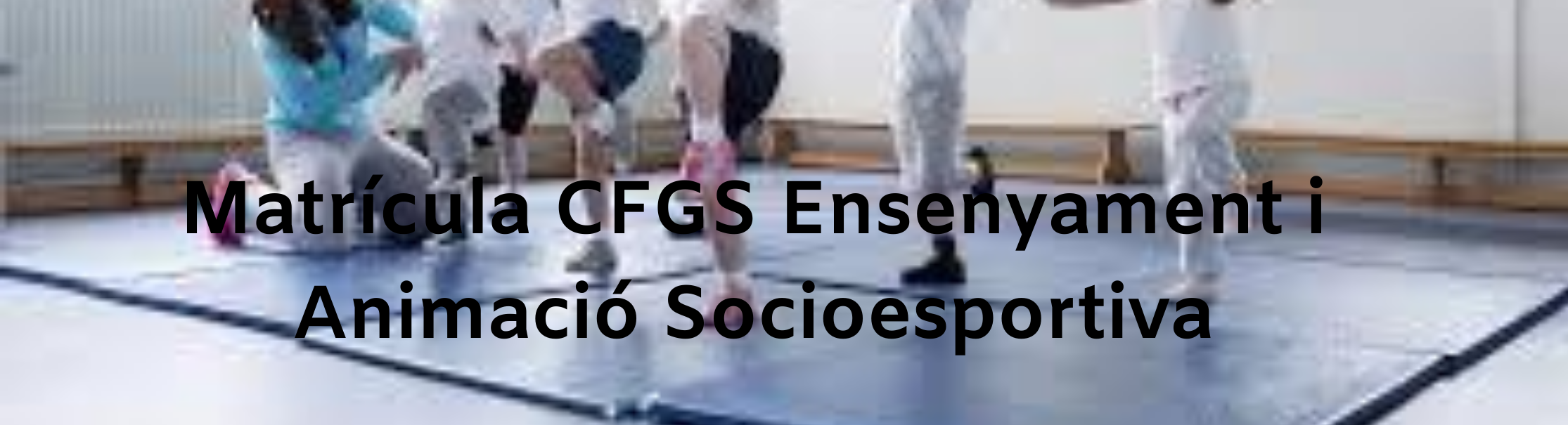 Matrícula CFGS Animació Socioesportiva banner