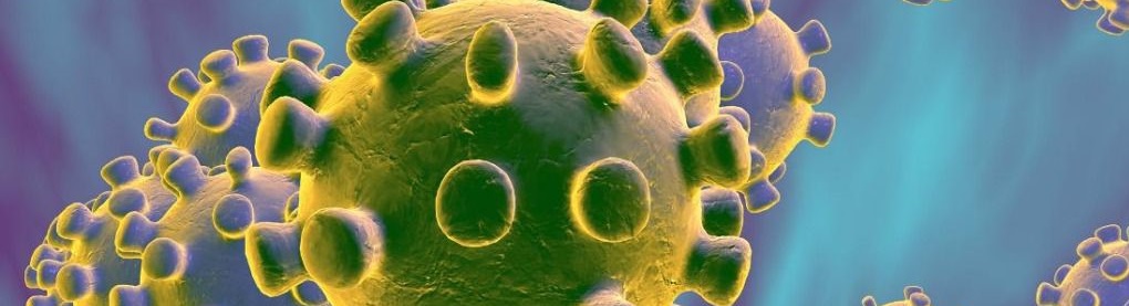 coronavirus