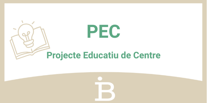 Botó Projecte Educatiu de Centre