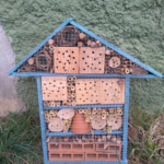 IMG_20191107_172255_s