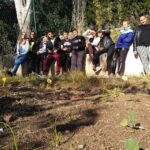 IMG_20191126_114744__