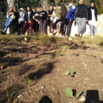 IMG_20191126_114809__