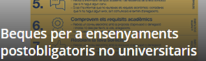 https://educacio.gencat.cat/ca/serveis-tramits/beques/beques-postobligatoris/