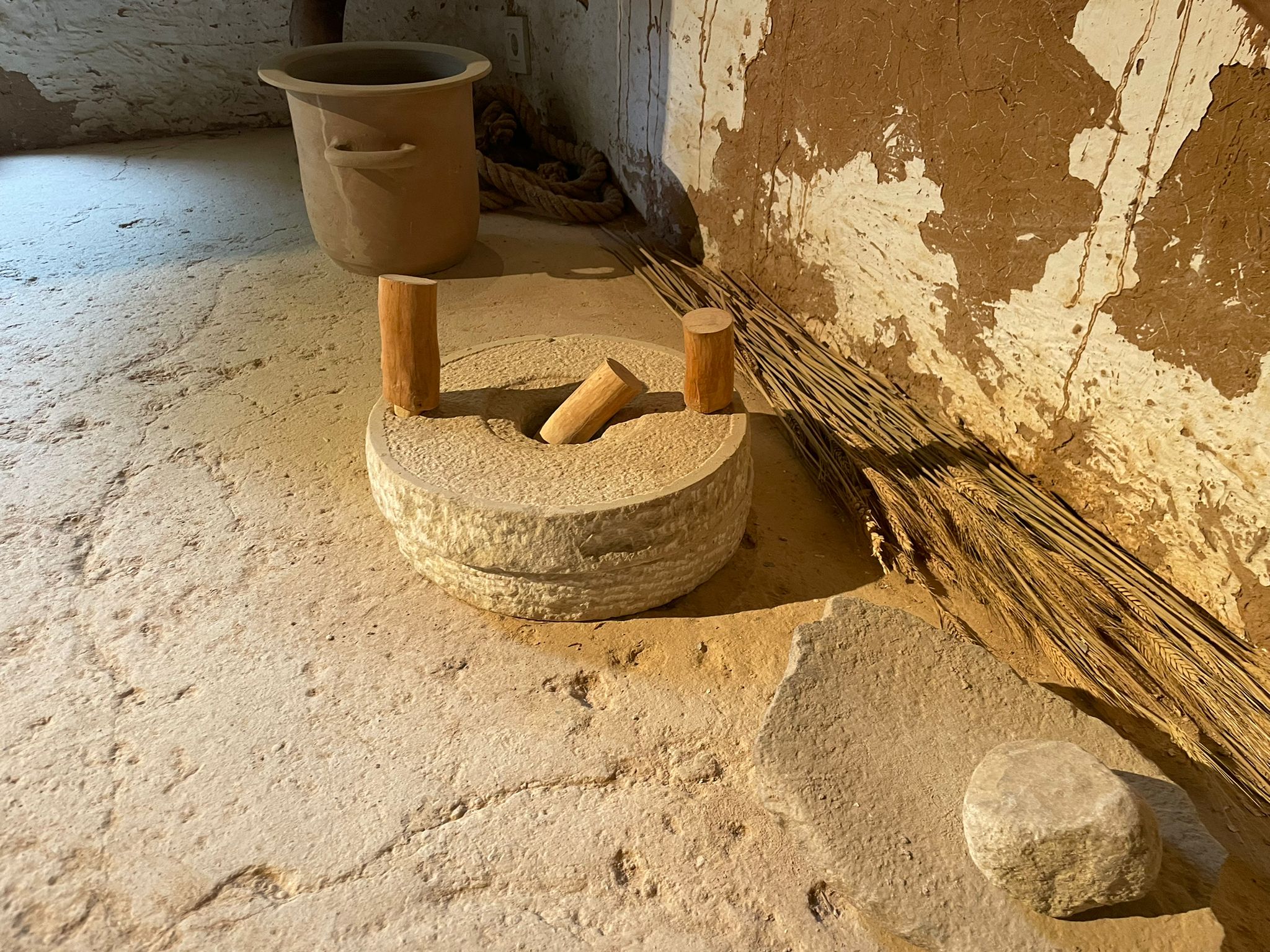 PHOTO-2022-10-27-18-45-55