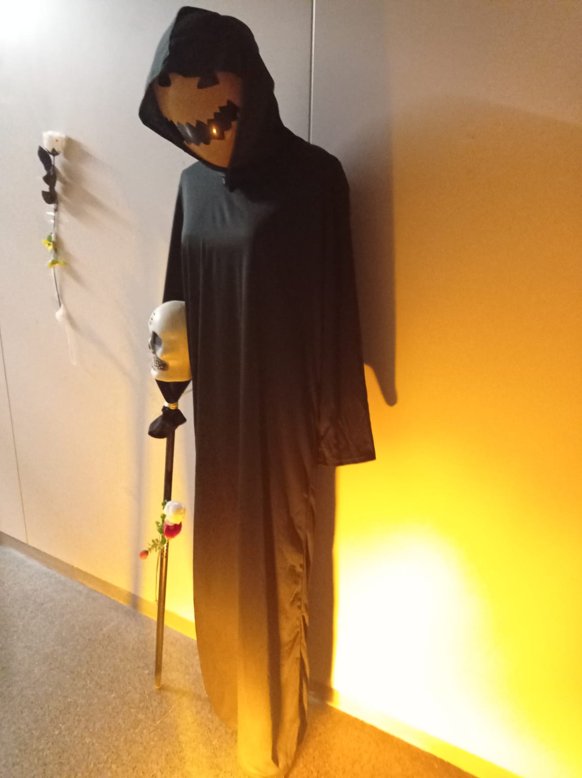 WhatsApp Image 2023-10-31 at 12.40.29 (1)