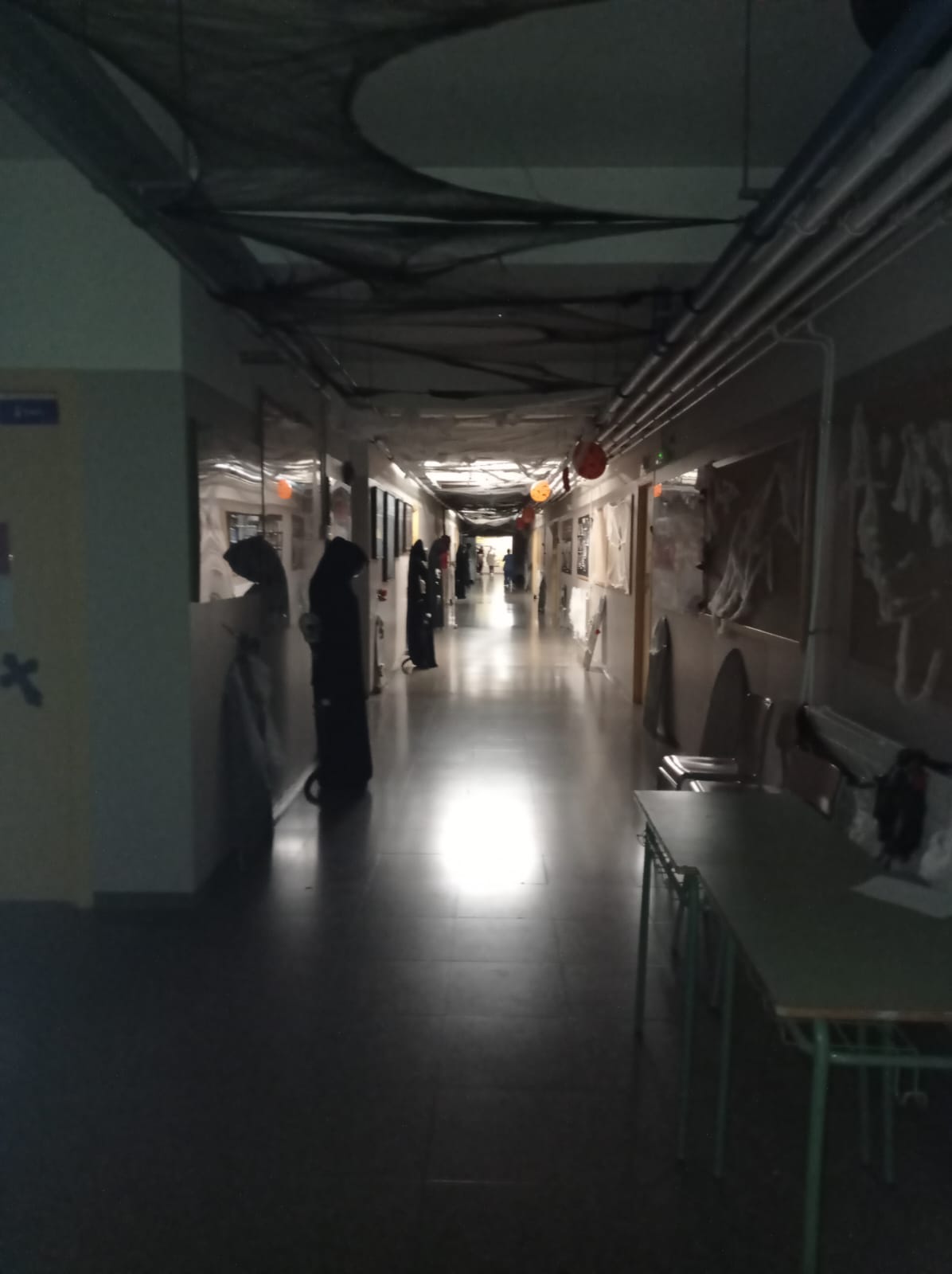 WhatsApp Image 2023-10-31 at 12.40.29