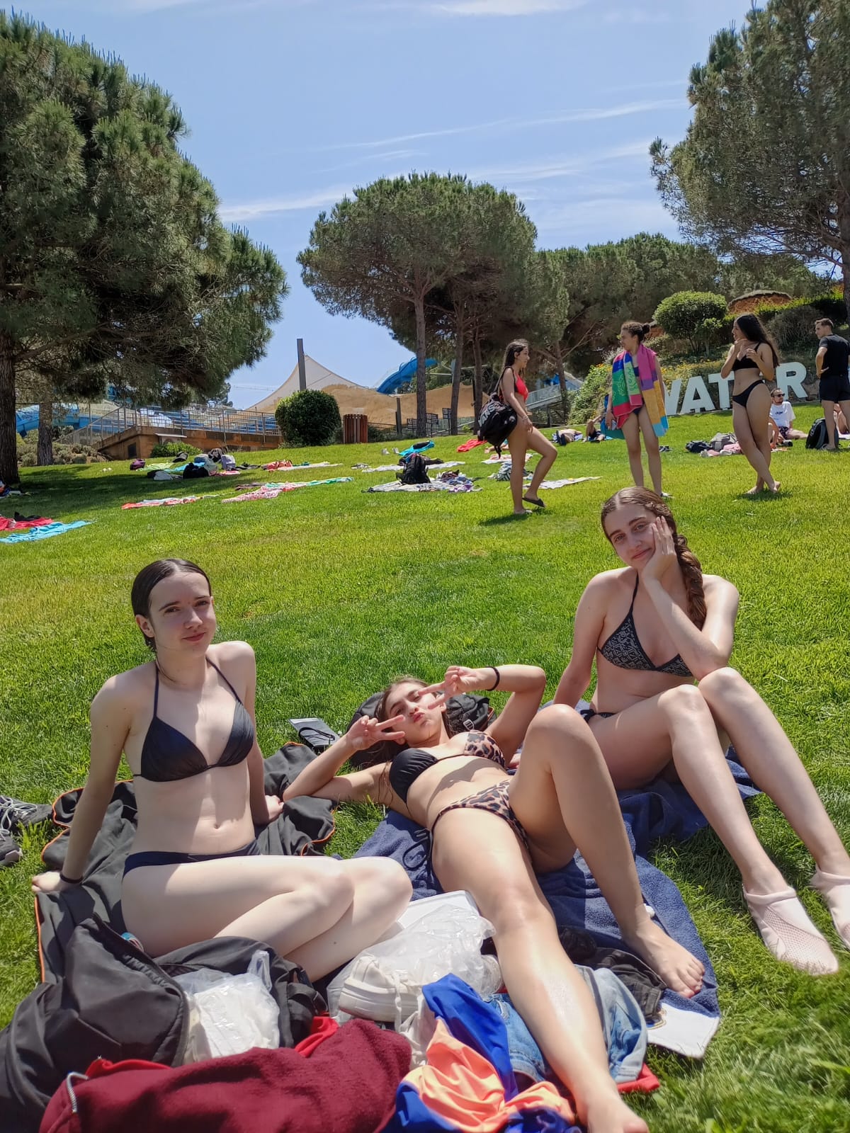 f5b2ced1-0e54-4ce9-9672-a5c0e0555f4f