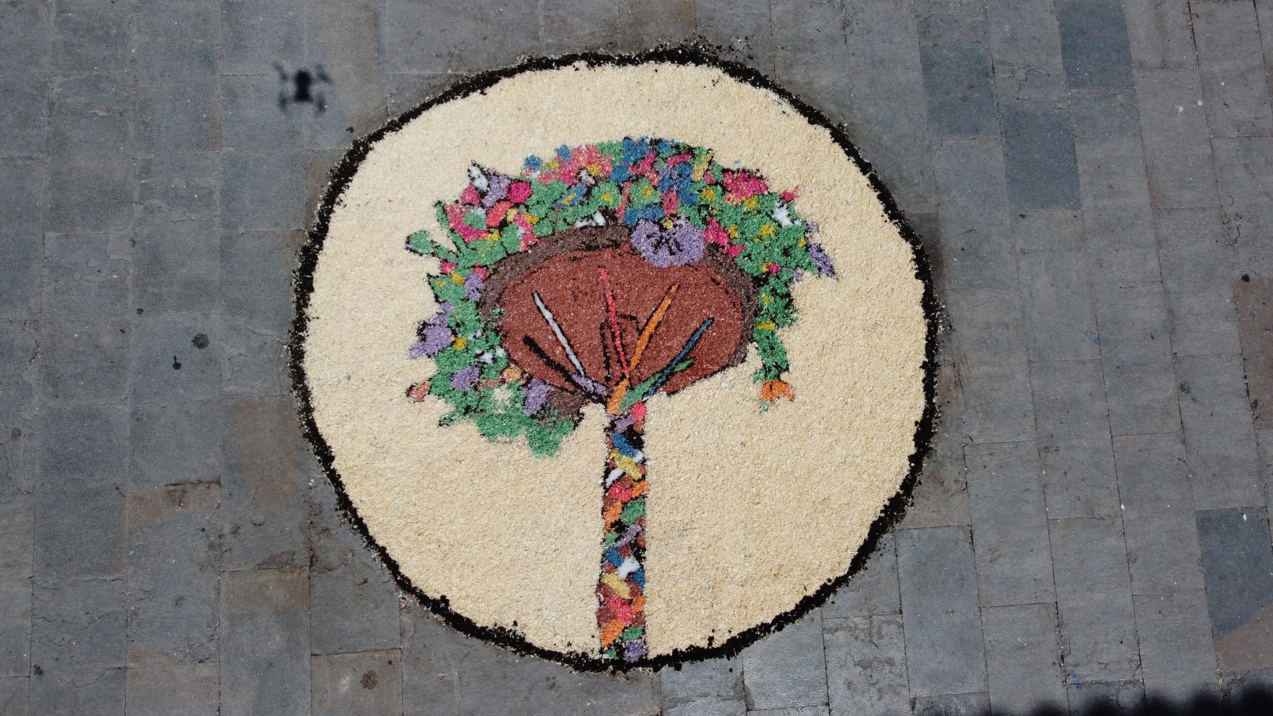 WhatsApp Image 2024-05-31 at 21.03.22 (5)