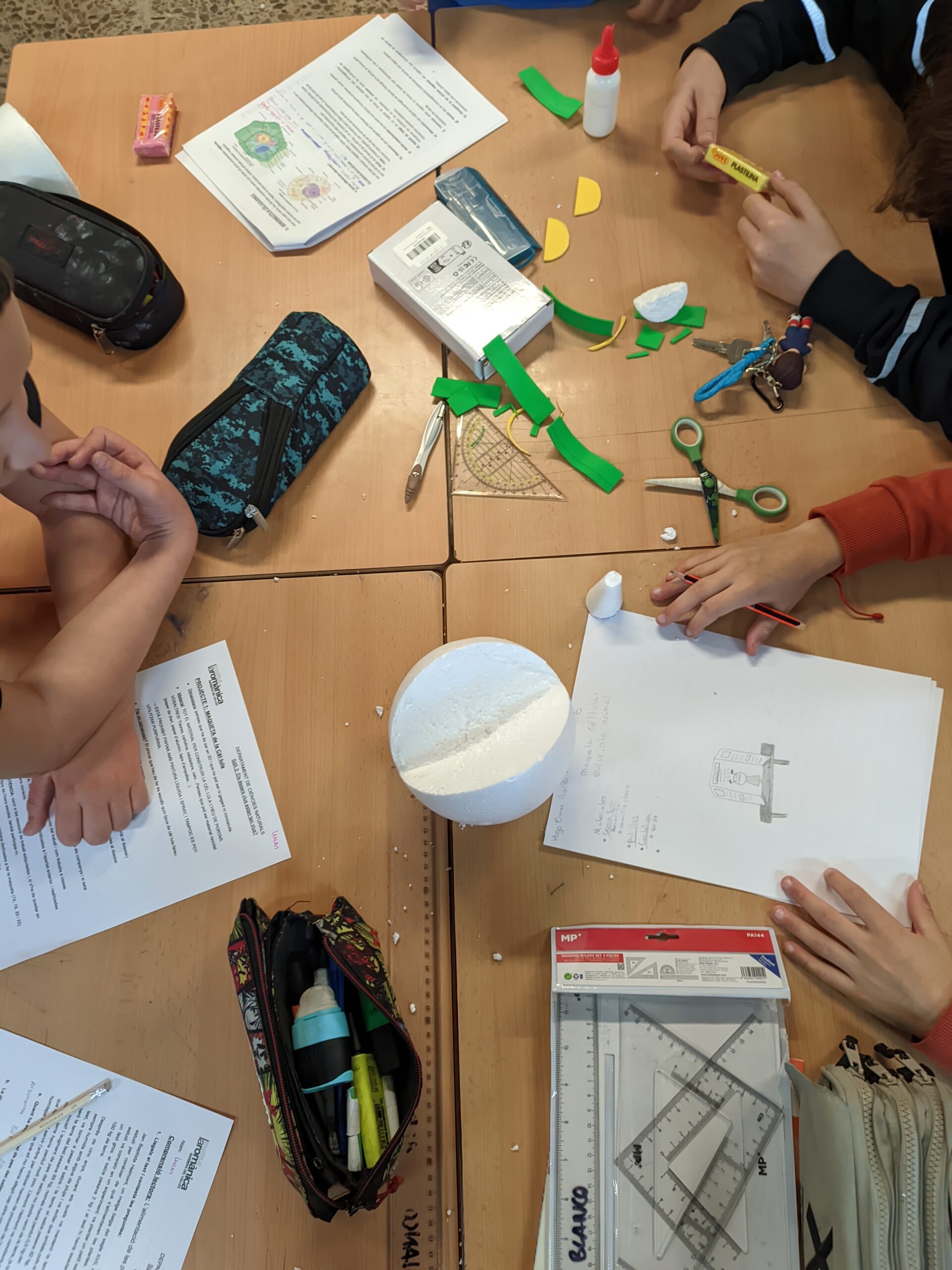 PXL_20241115_090059033