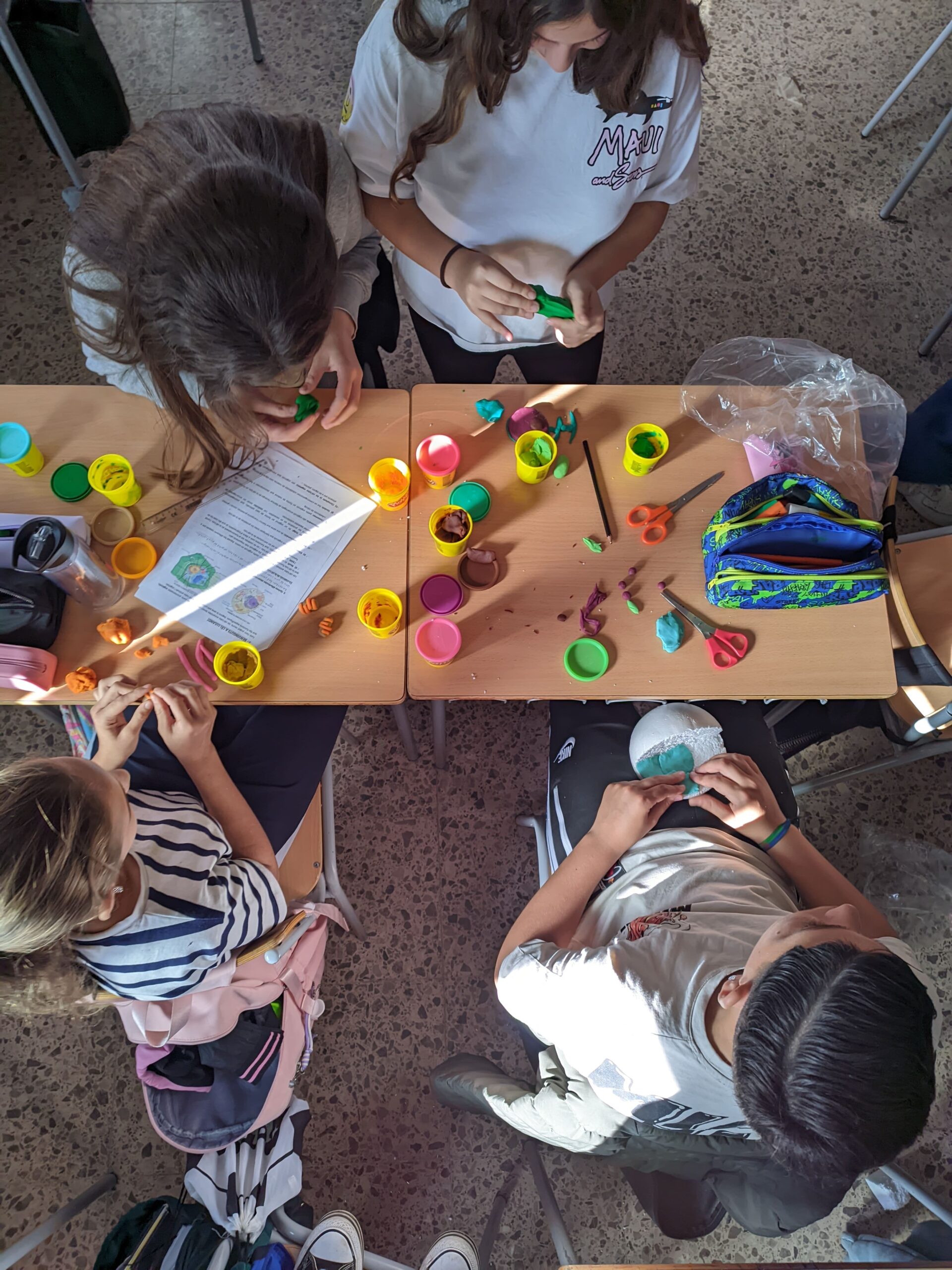 PXL_20241119_142253119 (1)