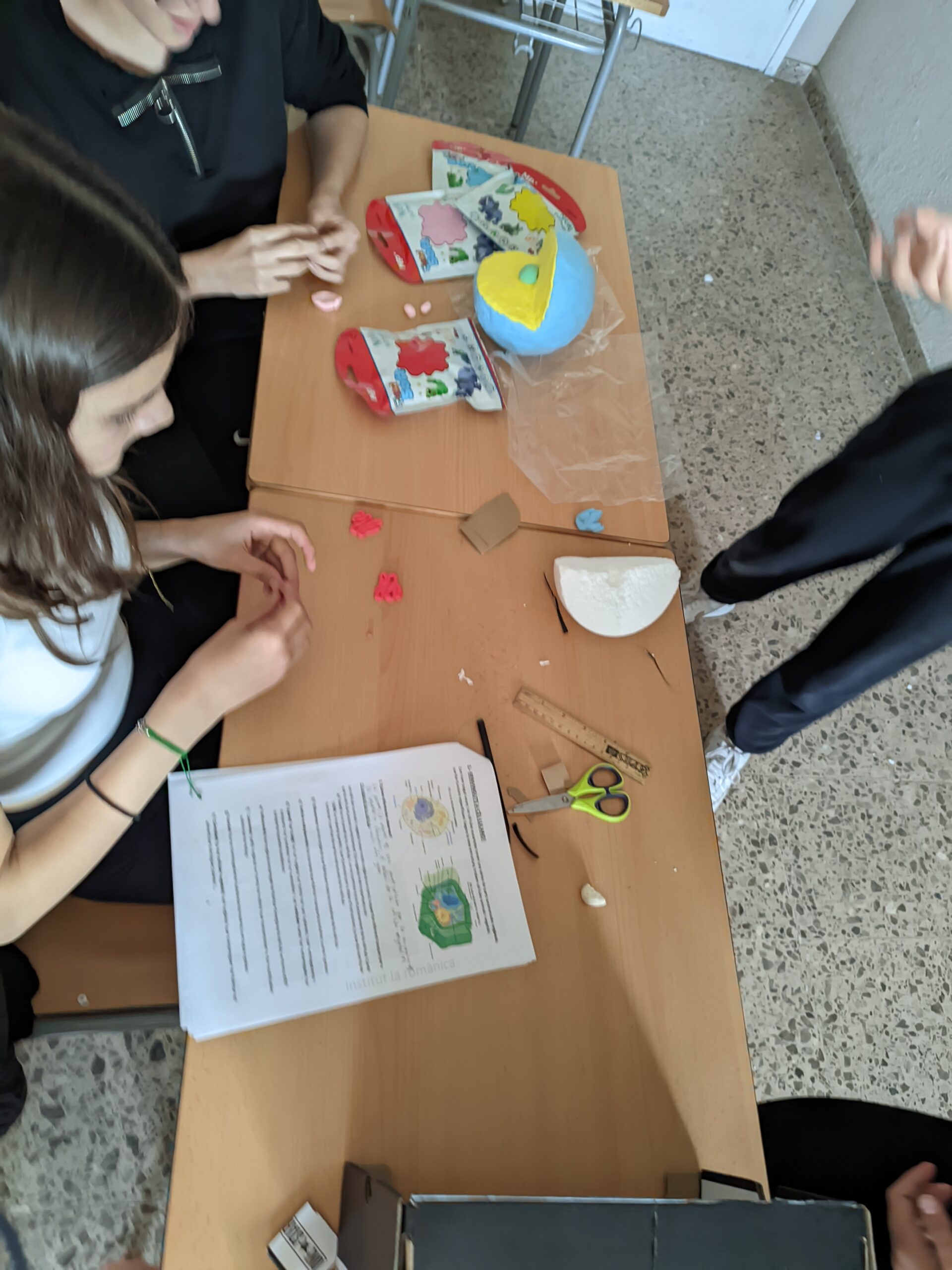 PXL_20241119_142301816