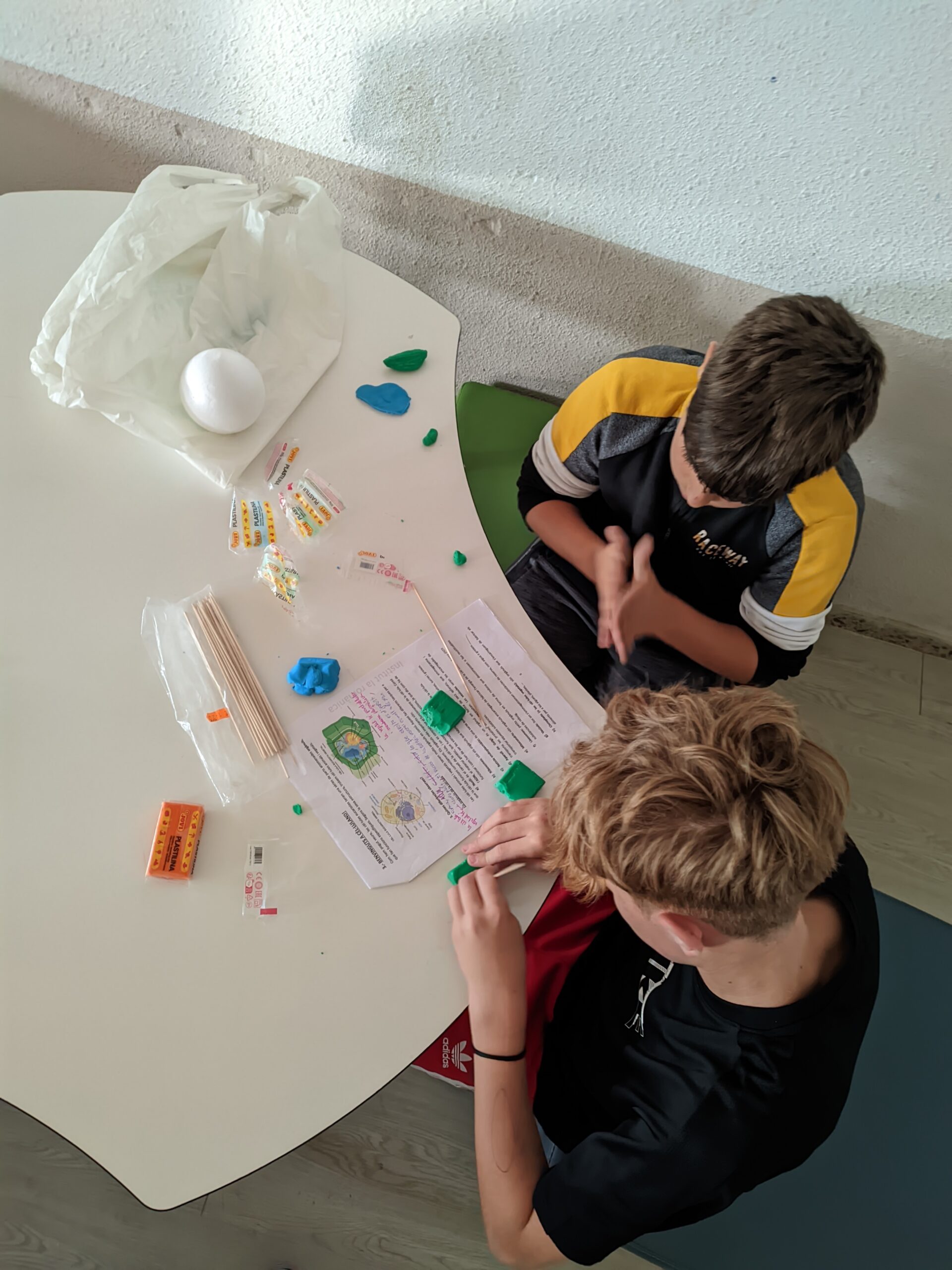 PXL_20241119_142332158