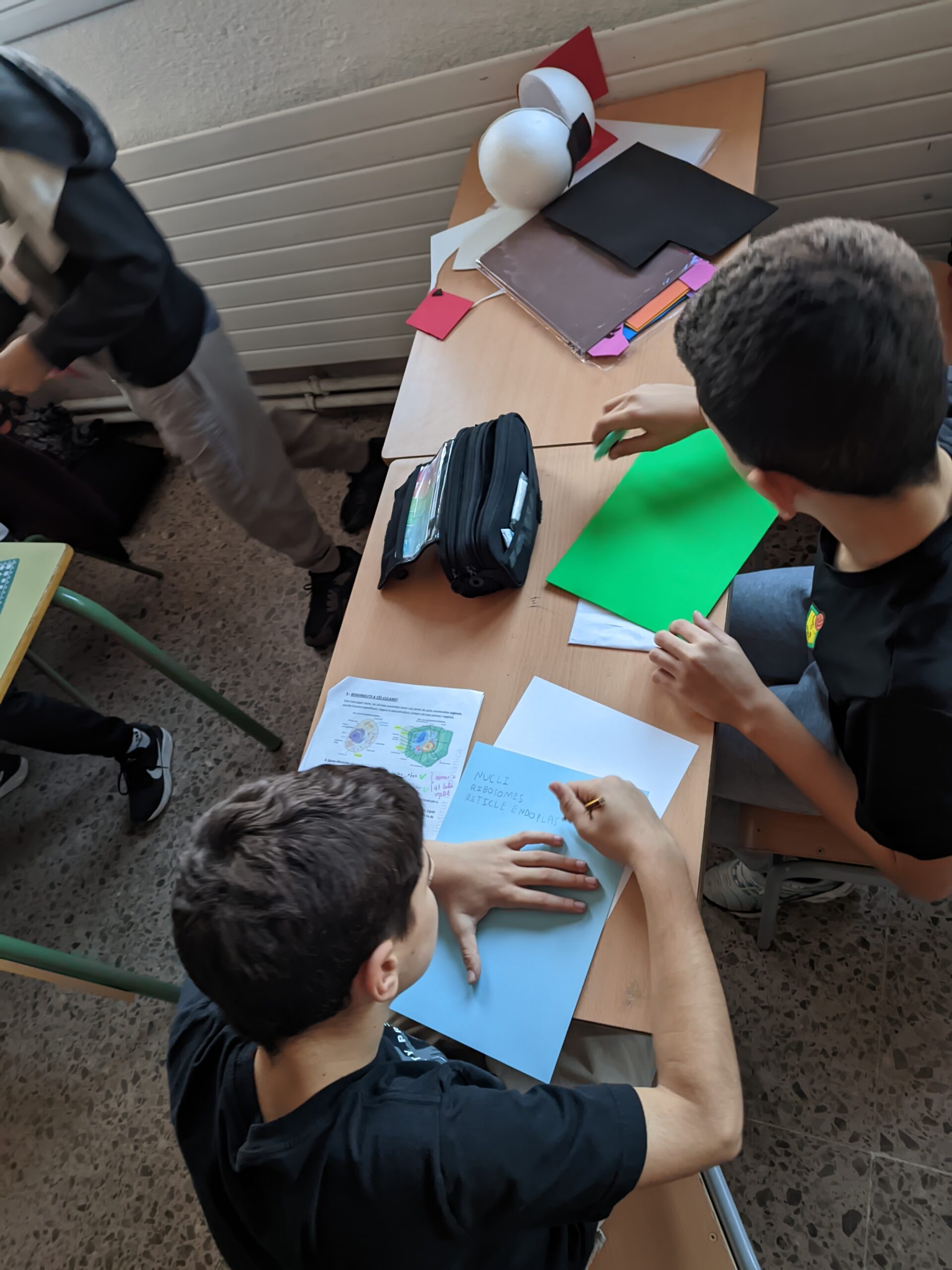 PXL_20241122_083423224