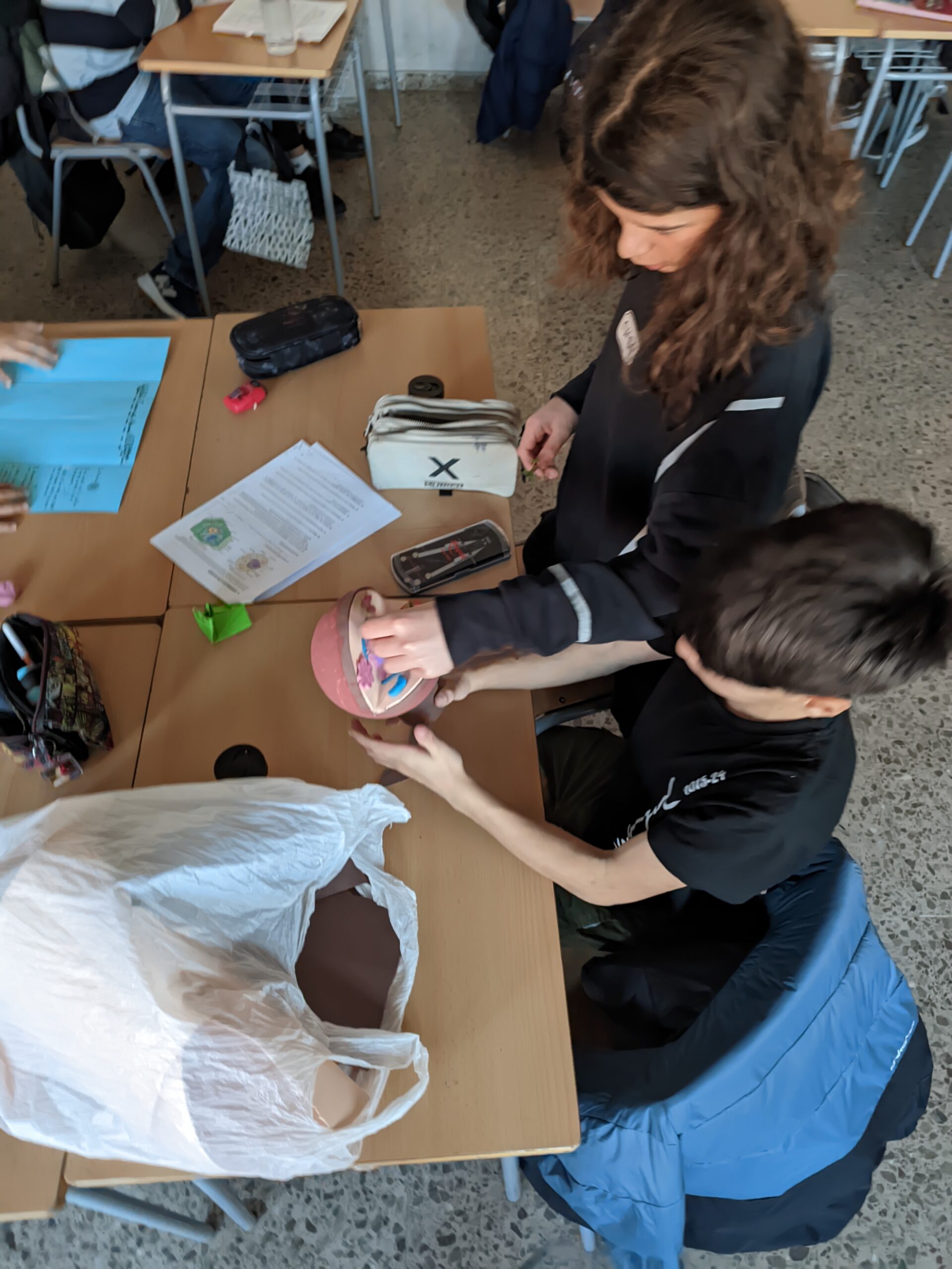 PXL_20241122_083435194