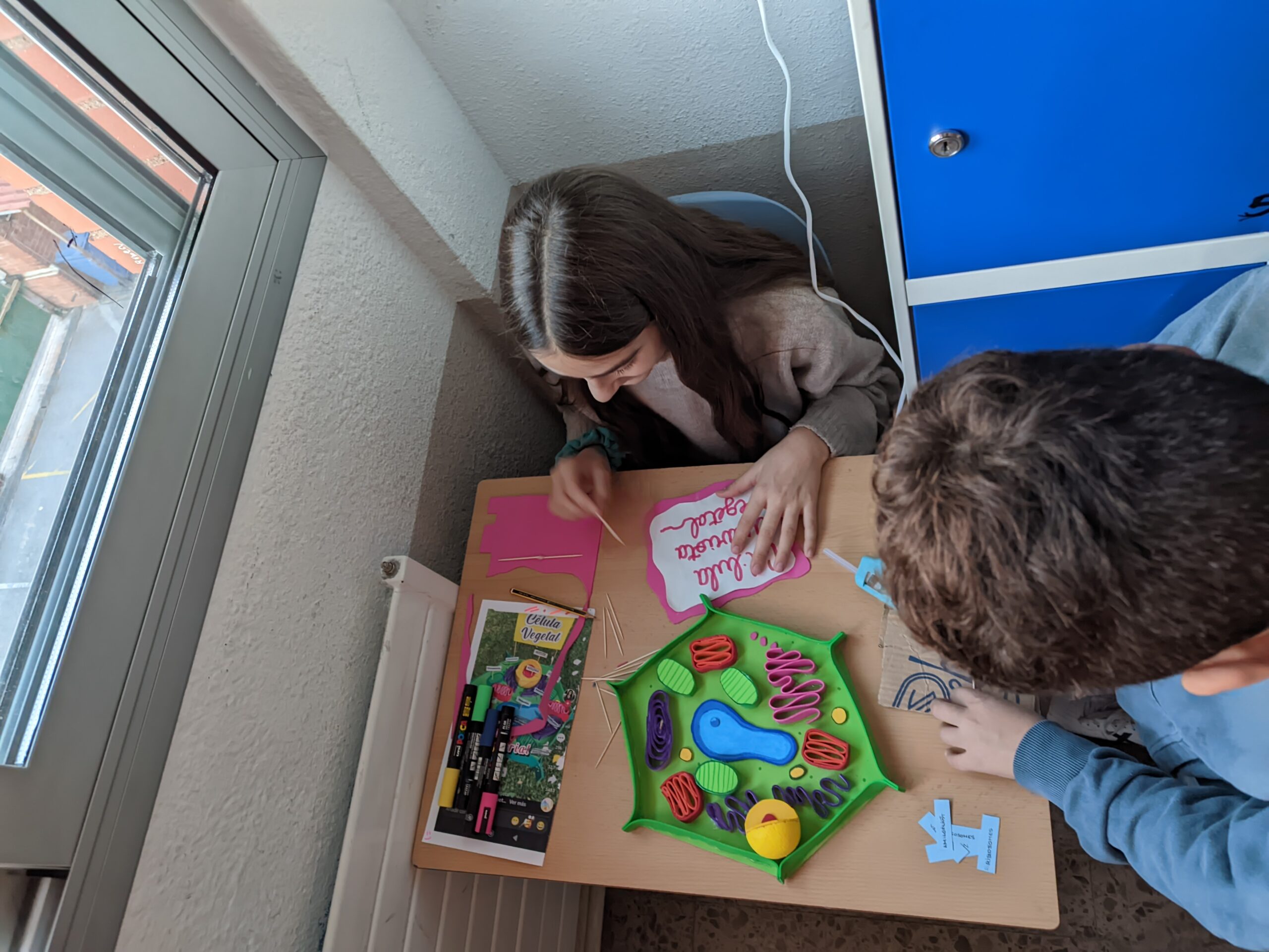 PXL_20241122_083447910