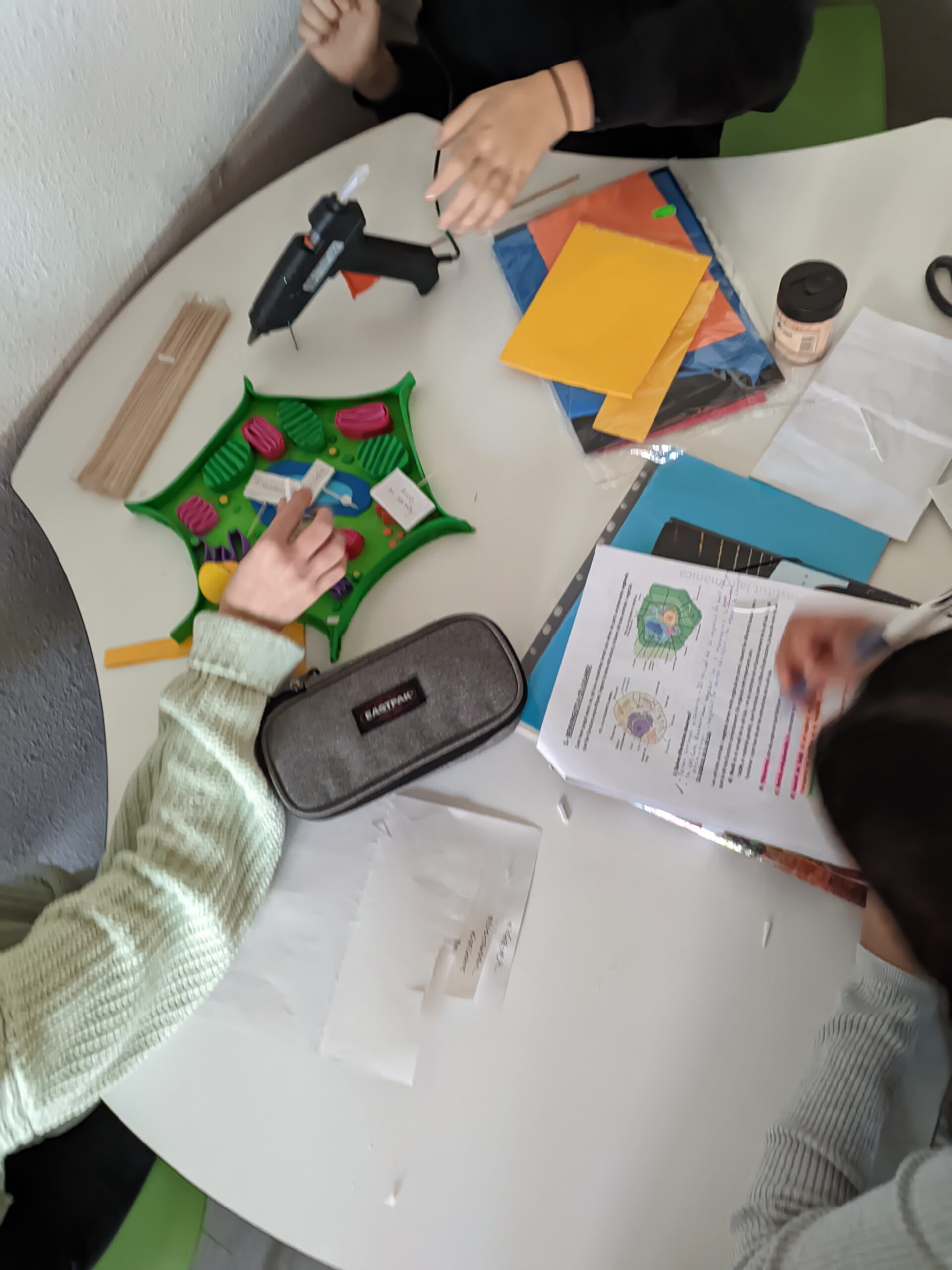 PXL_20241122_083512024