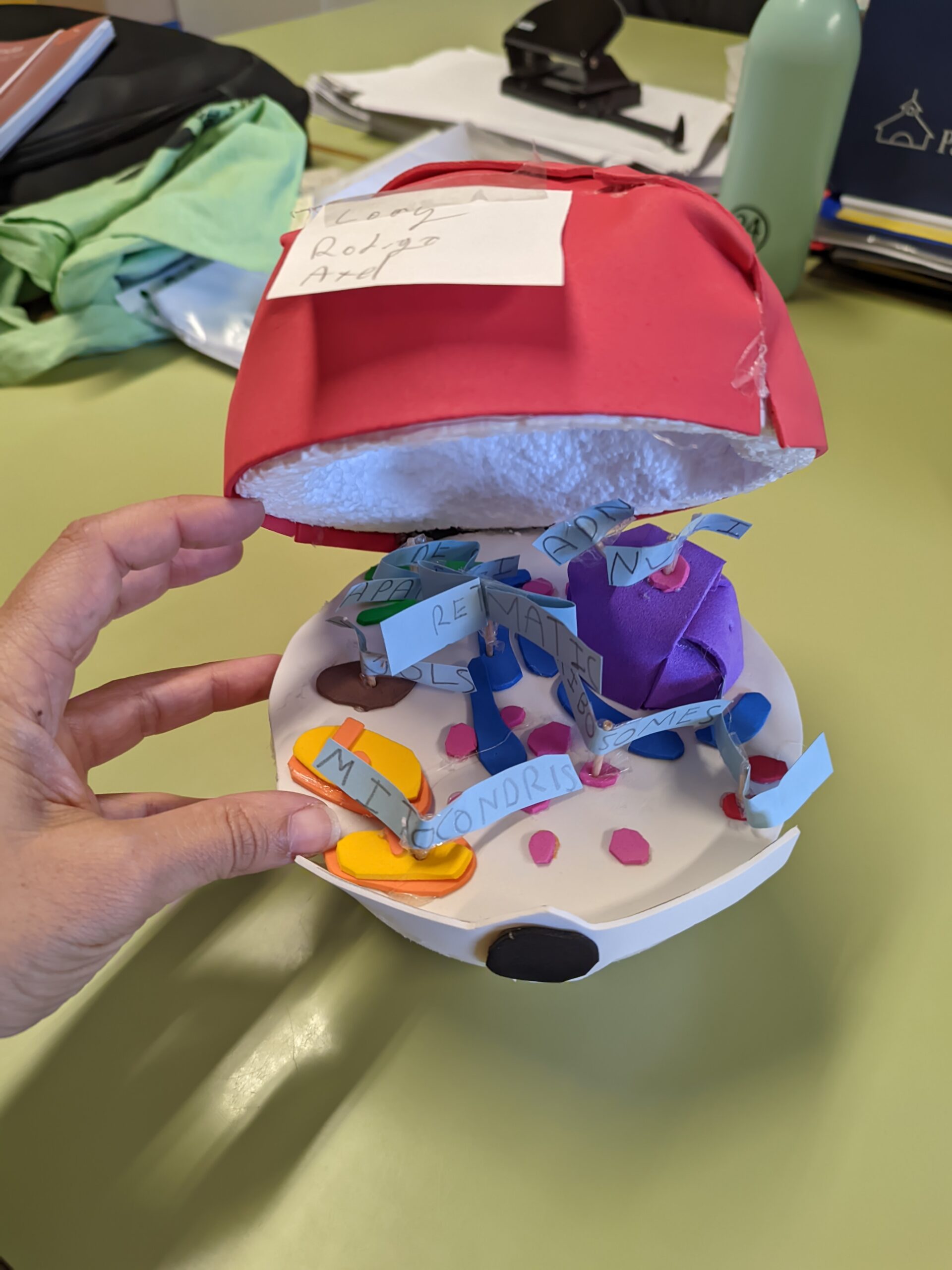 PXL_20241122_115701021