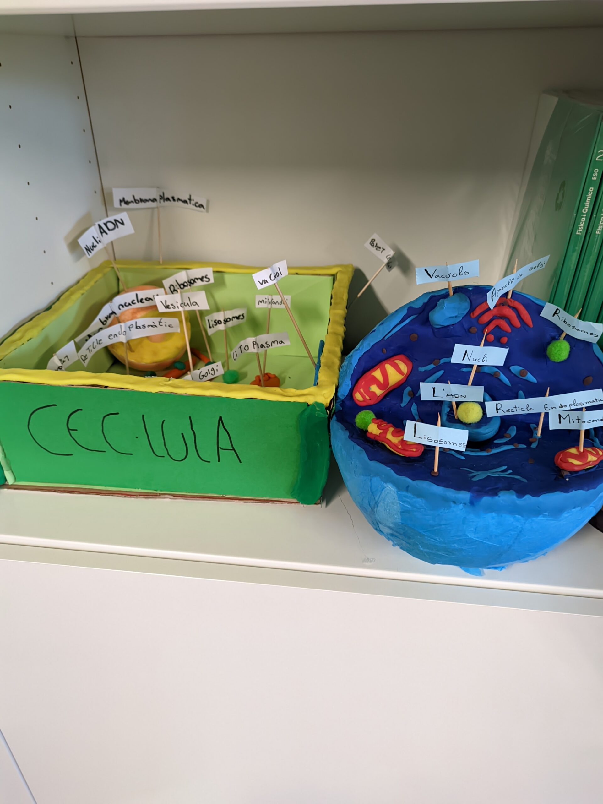 PXL_20241122_115736562