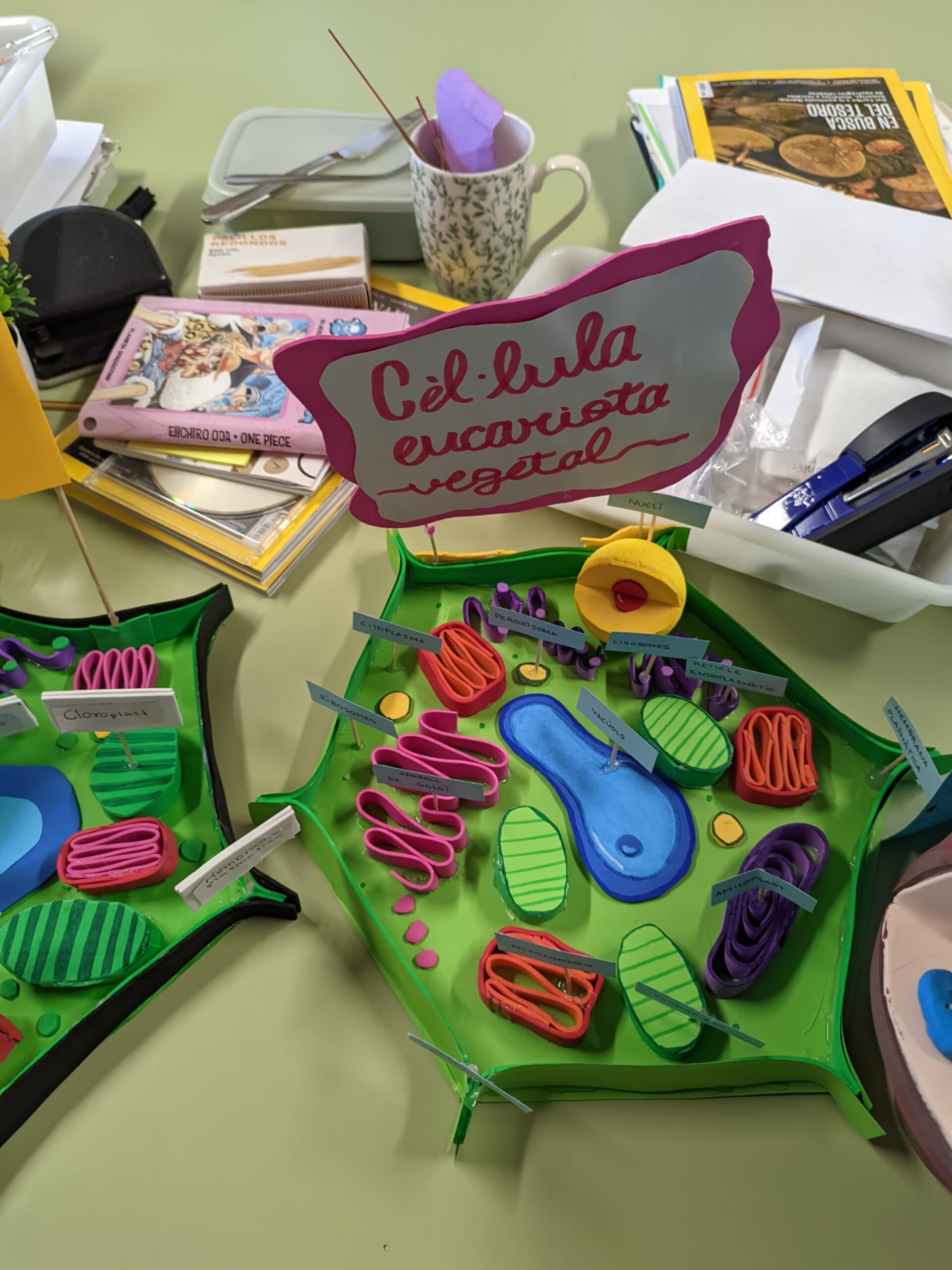 PXL_20241122_115745181