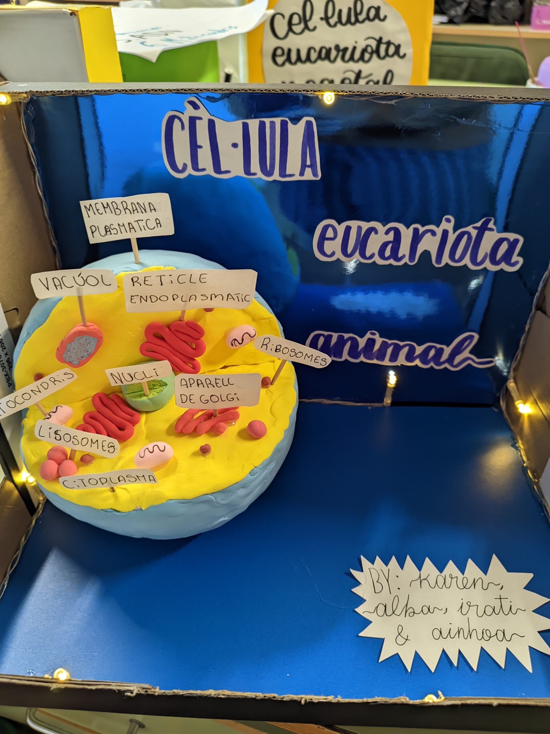 PXL_20241122_115757821