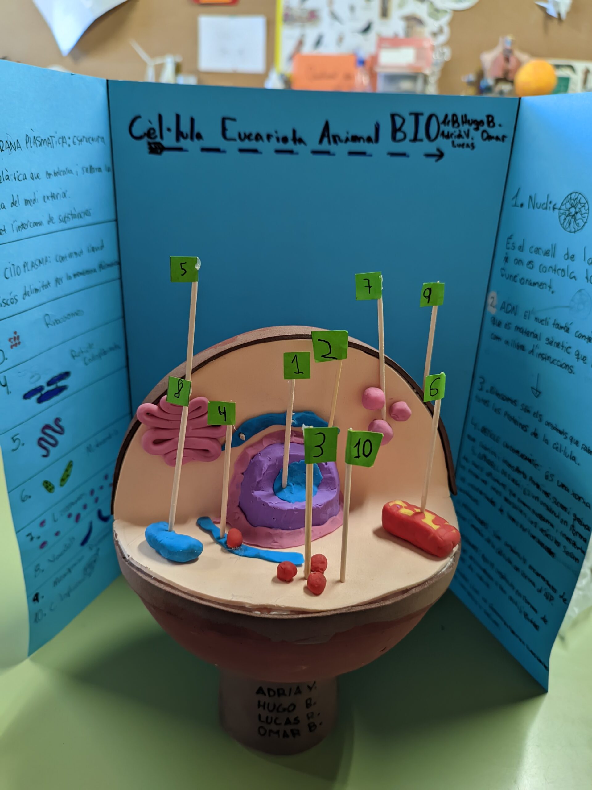 PXL_20241122_115810476