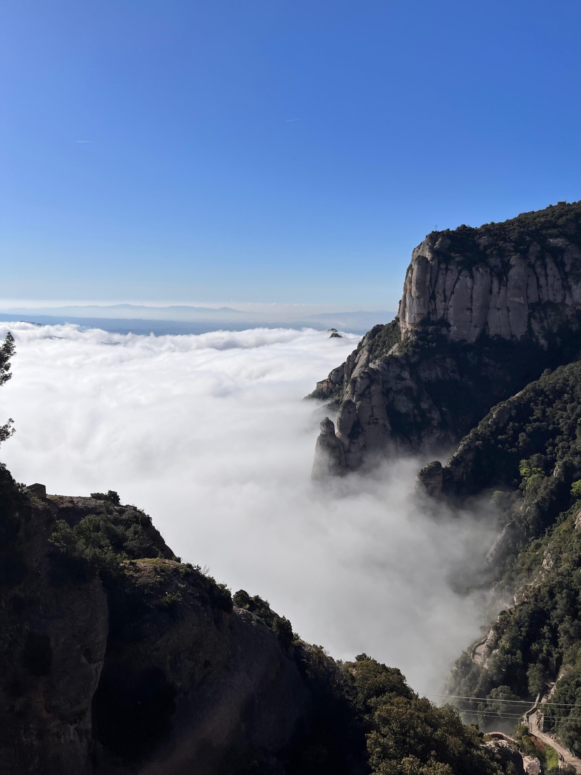 WhatsApp Image 2025-04-29 at 19.39.49