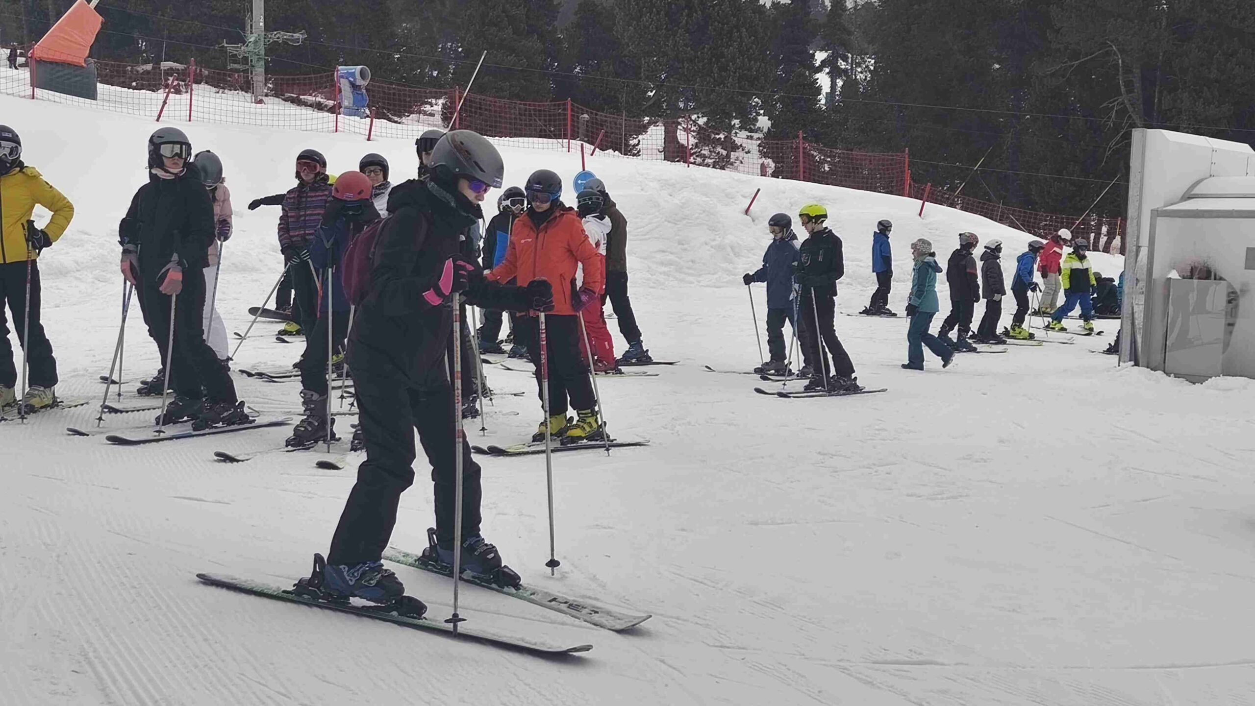 IMG_20260116_103838 (1)