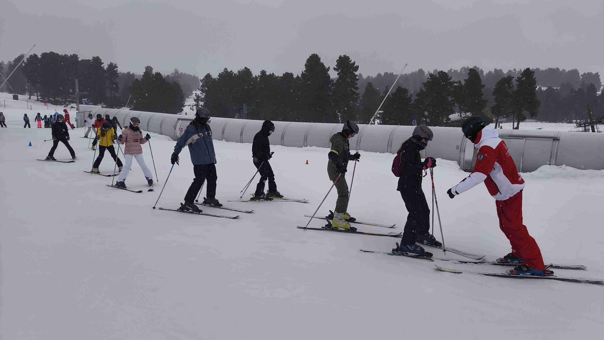 IMG_20260116_110847 (1)