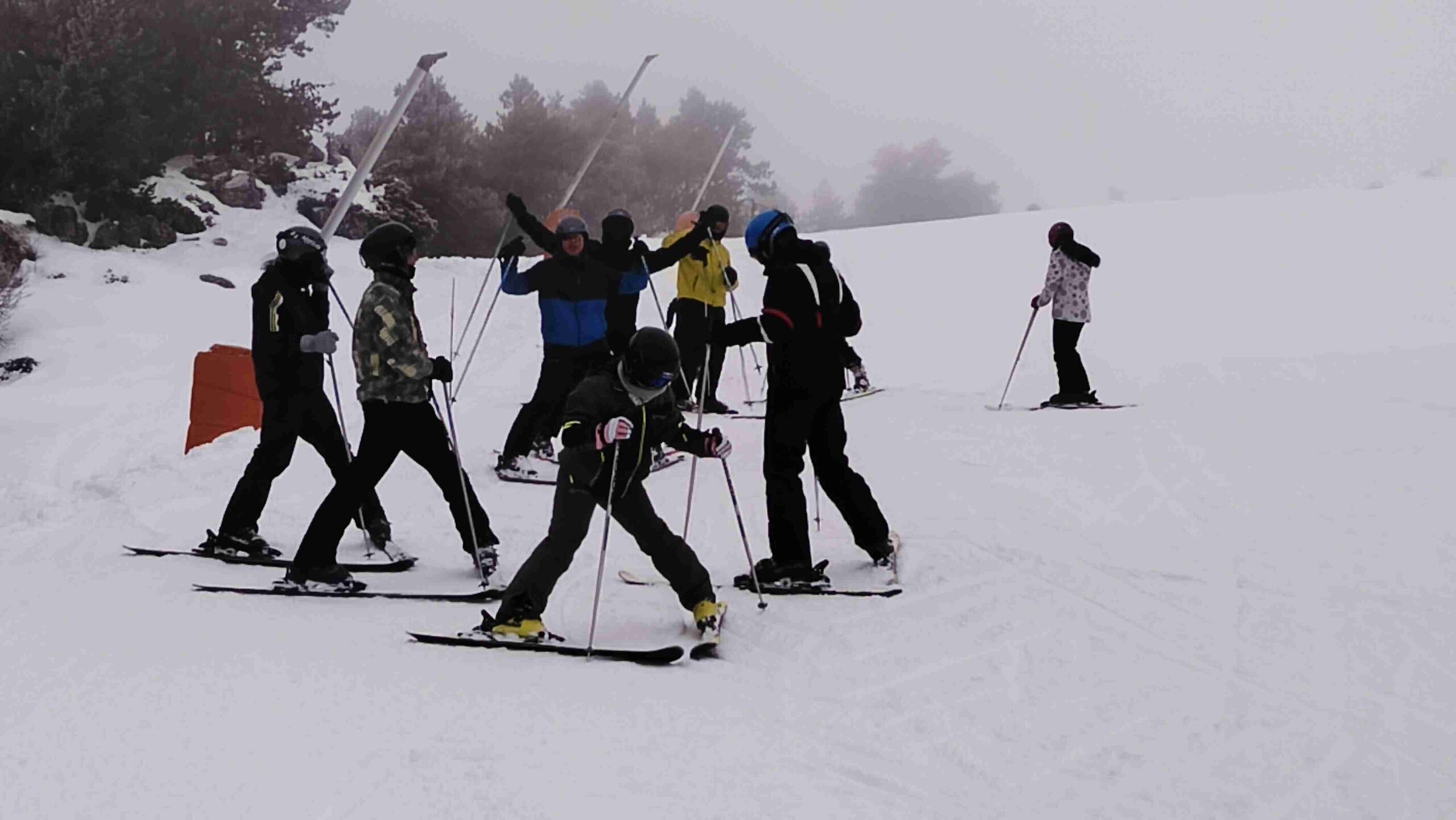 IMG_20260116_145913 (1)