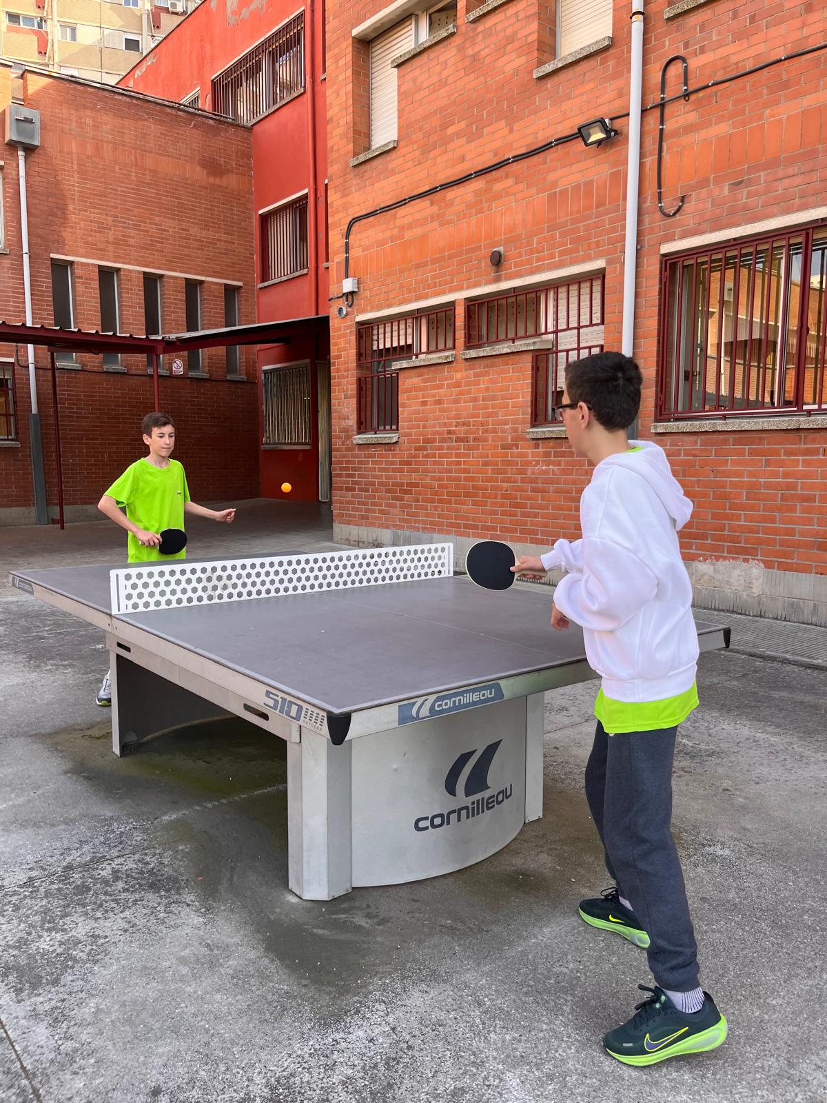 WhatsApp Image 2026-03-13 at 11.09.52 (1)