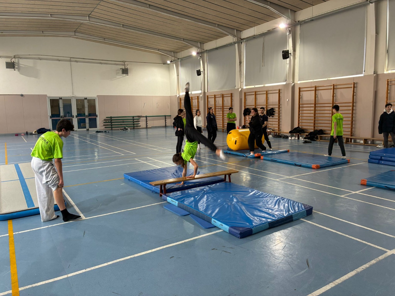 WhatsApp Image 2026-03-13 at 11.15.46 (4)