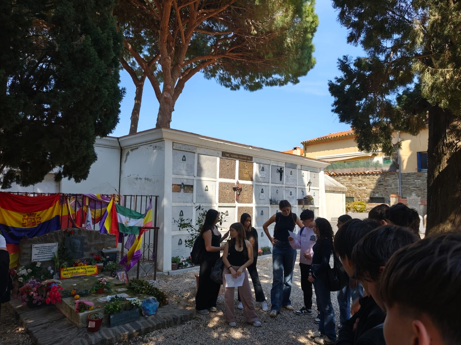 WhatsApp Image 2026-04-15 at 18.59.57 (5)