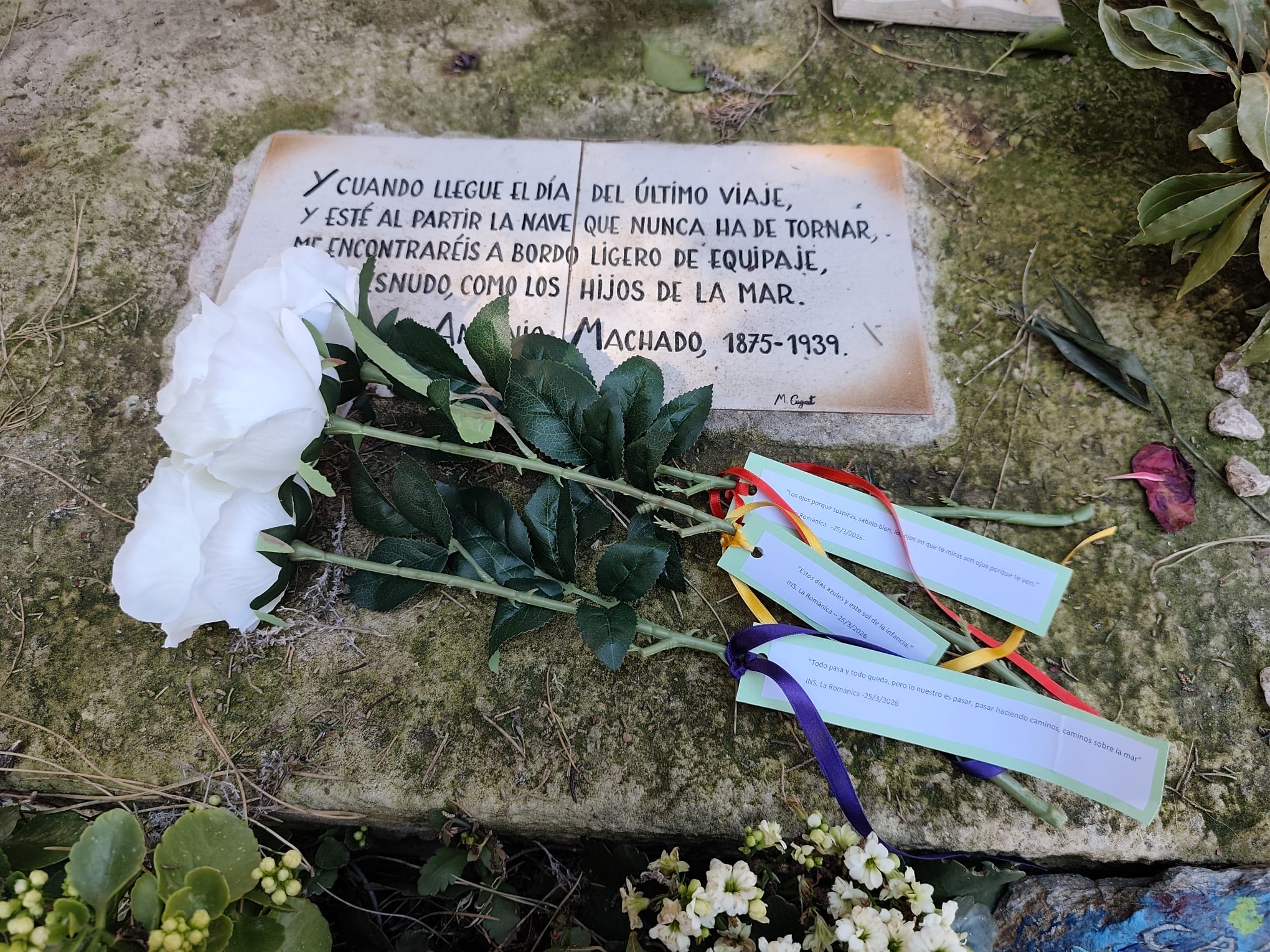 WhatsApp Image 2026-04-15 at 18.59.57