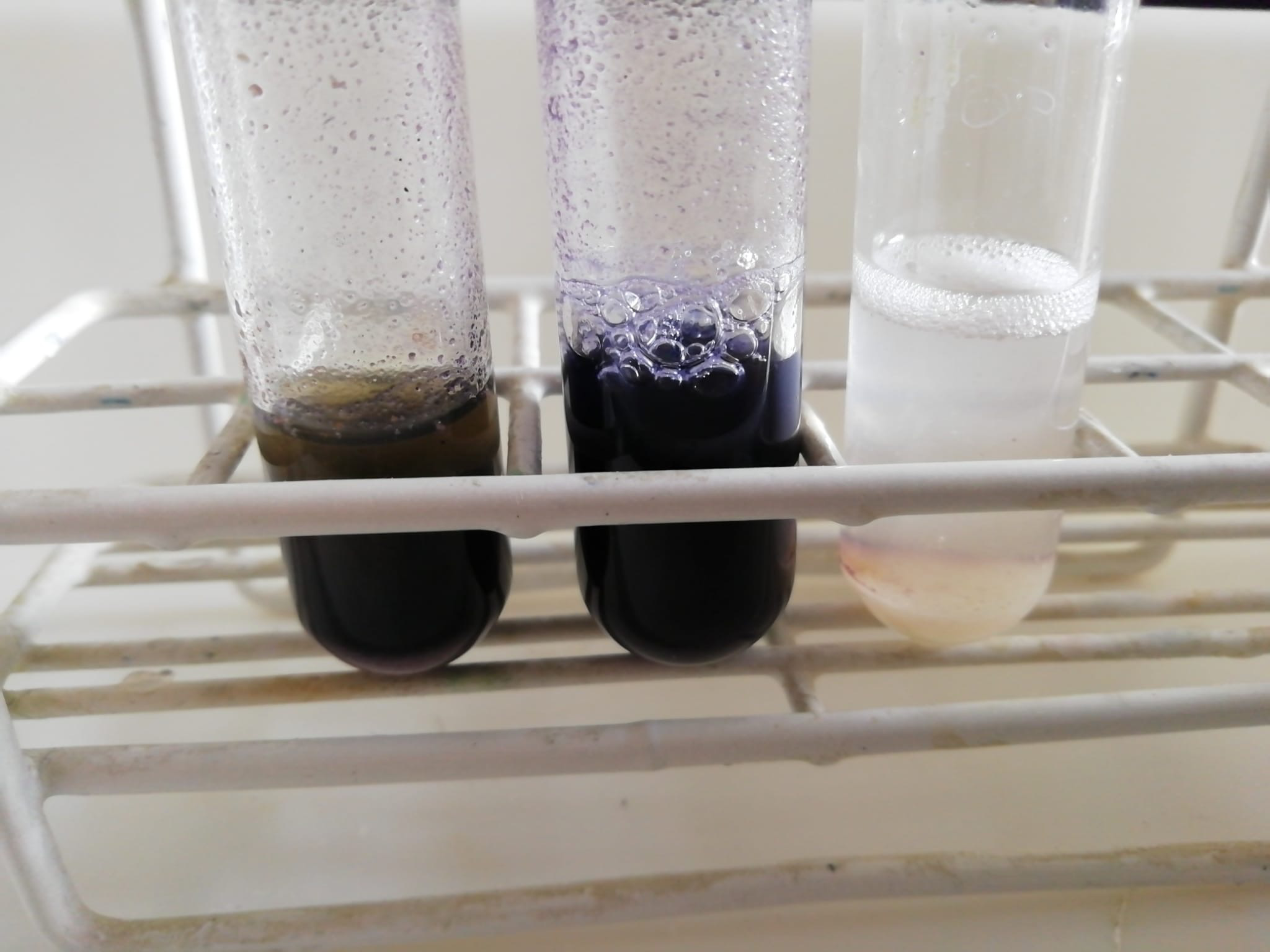 b2cc22c5-a0e7-4f11-80e1-2727f8079b84