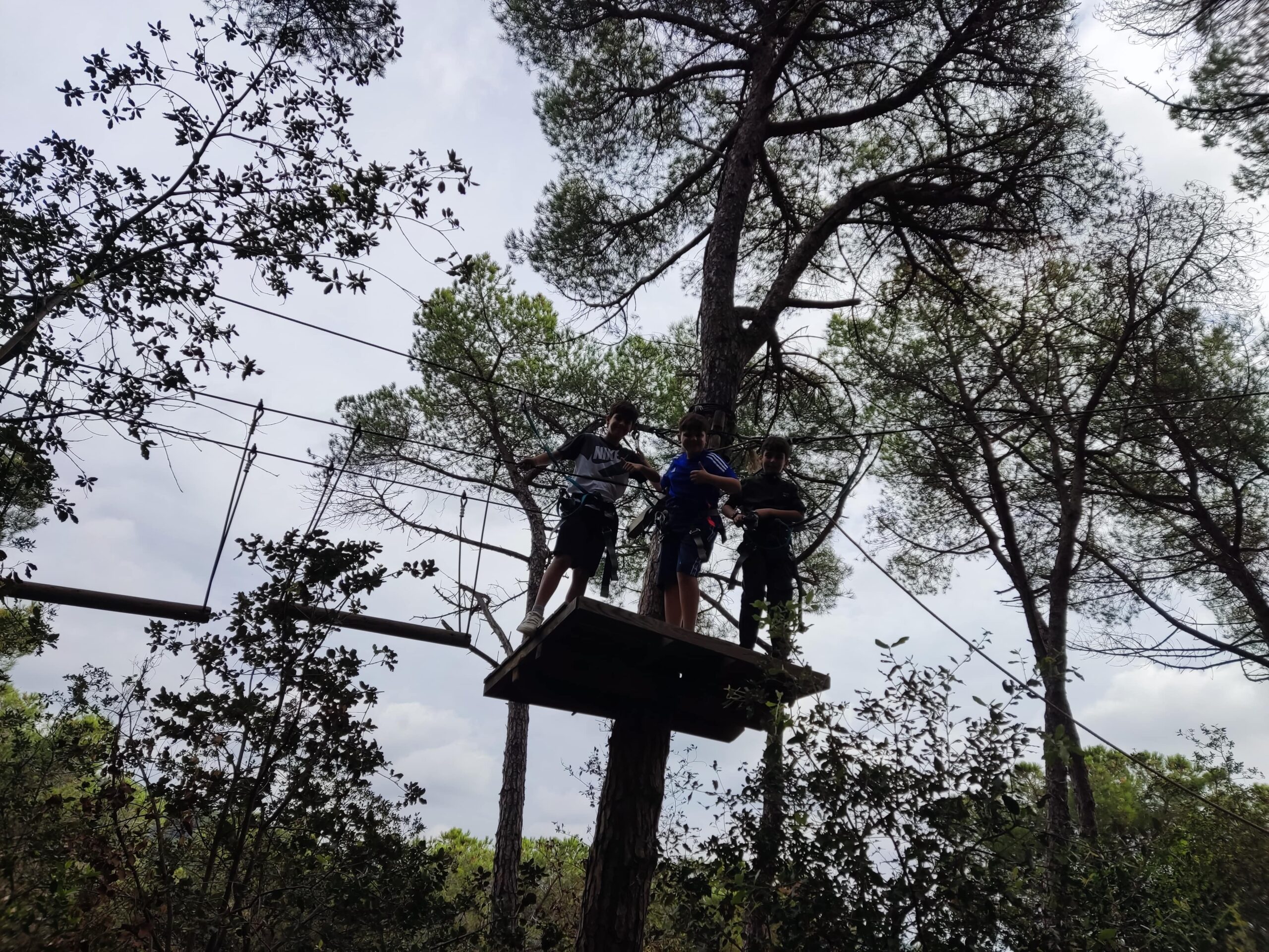 IMG_20241002_110443-min