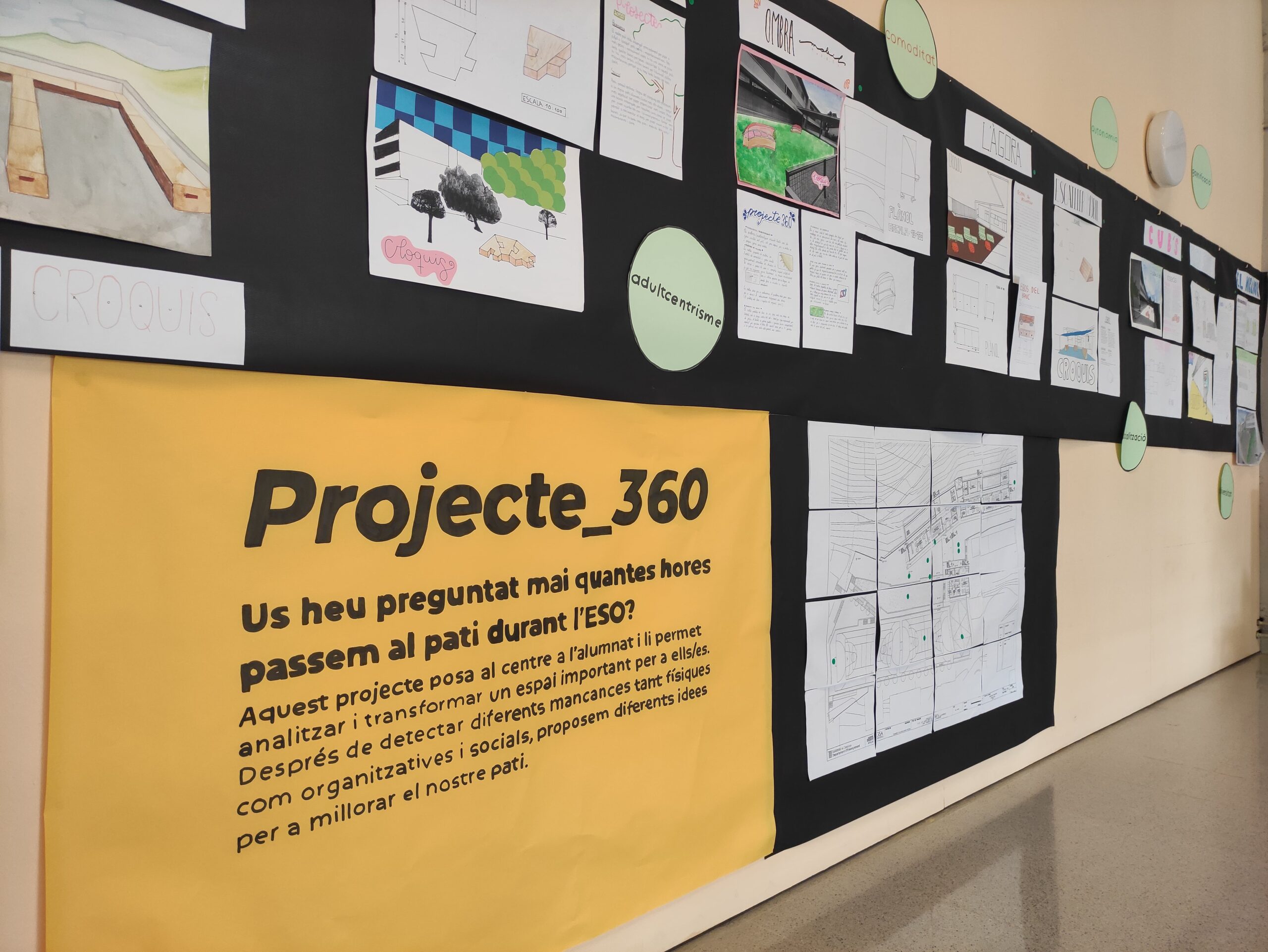 IMG_20241028_152558-min