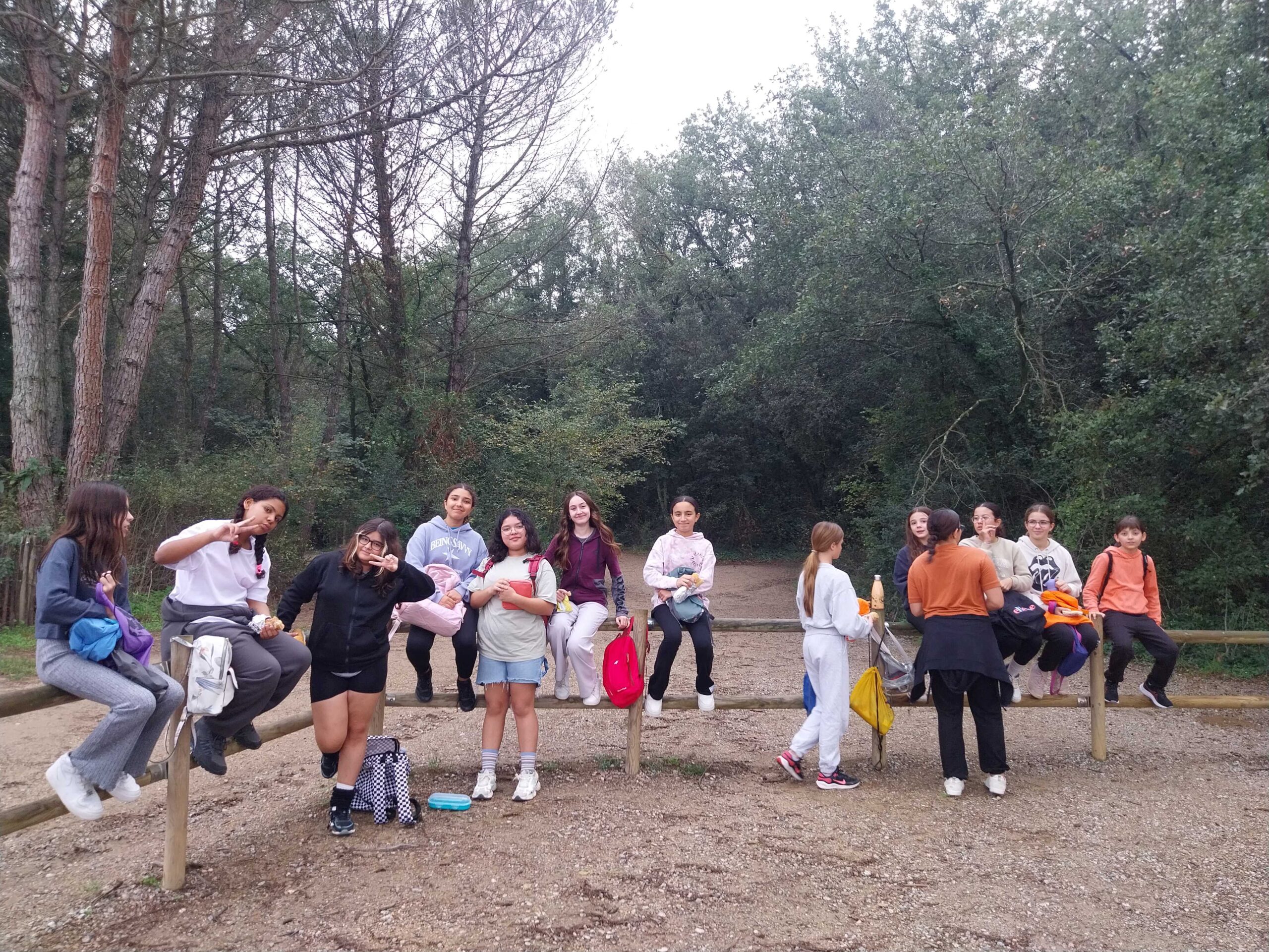 20241104_091545_-min