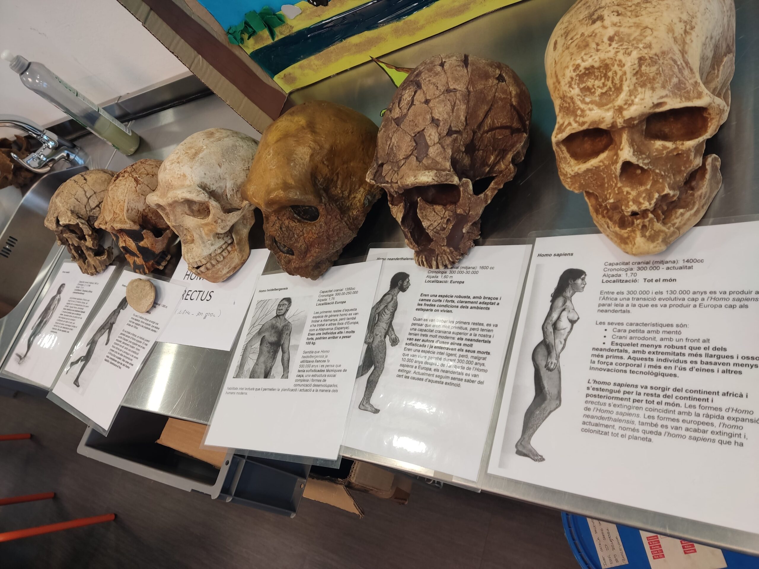 IMG_20250509_102517-min