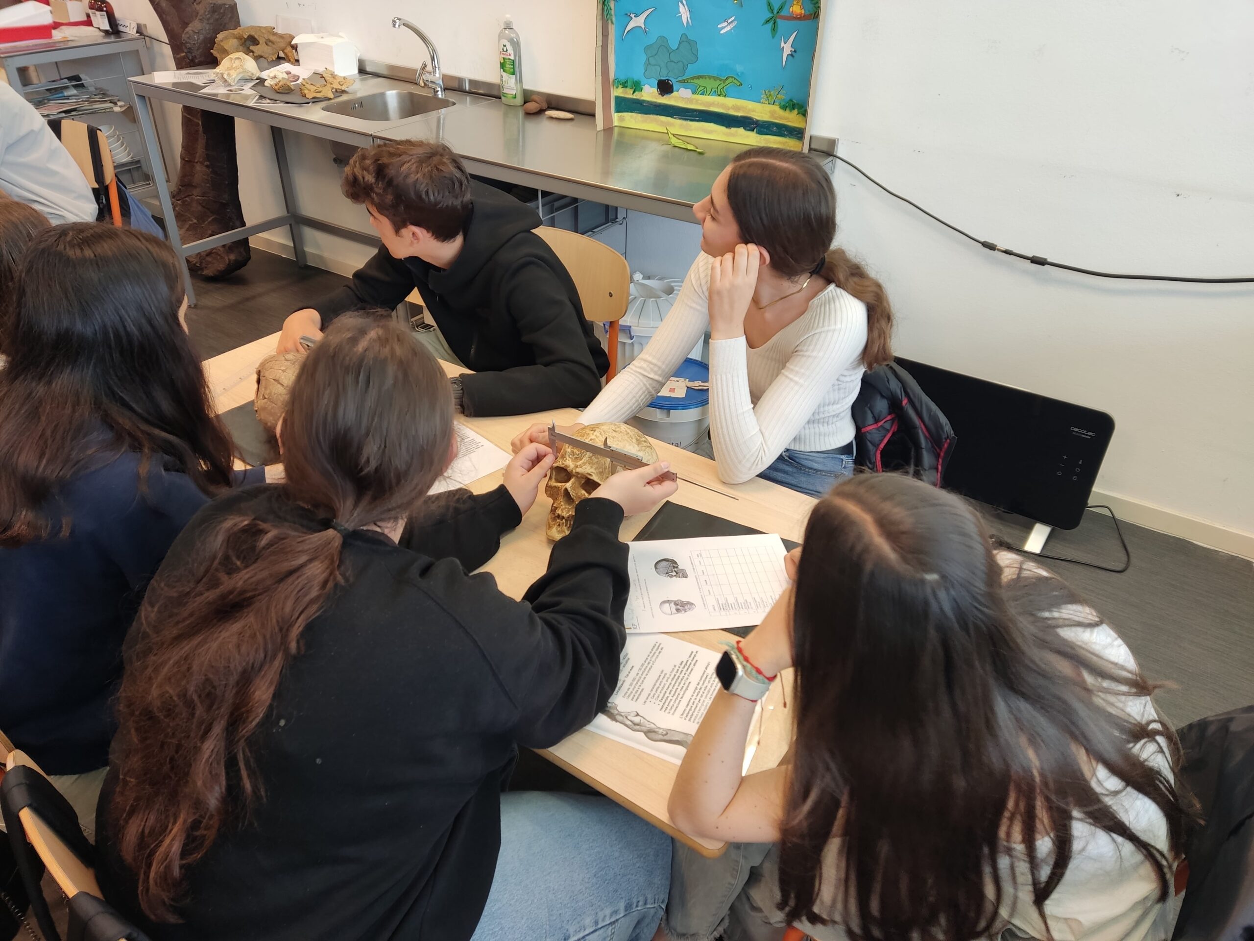 IMG_20250509_115740-min