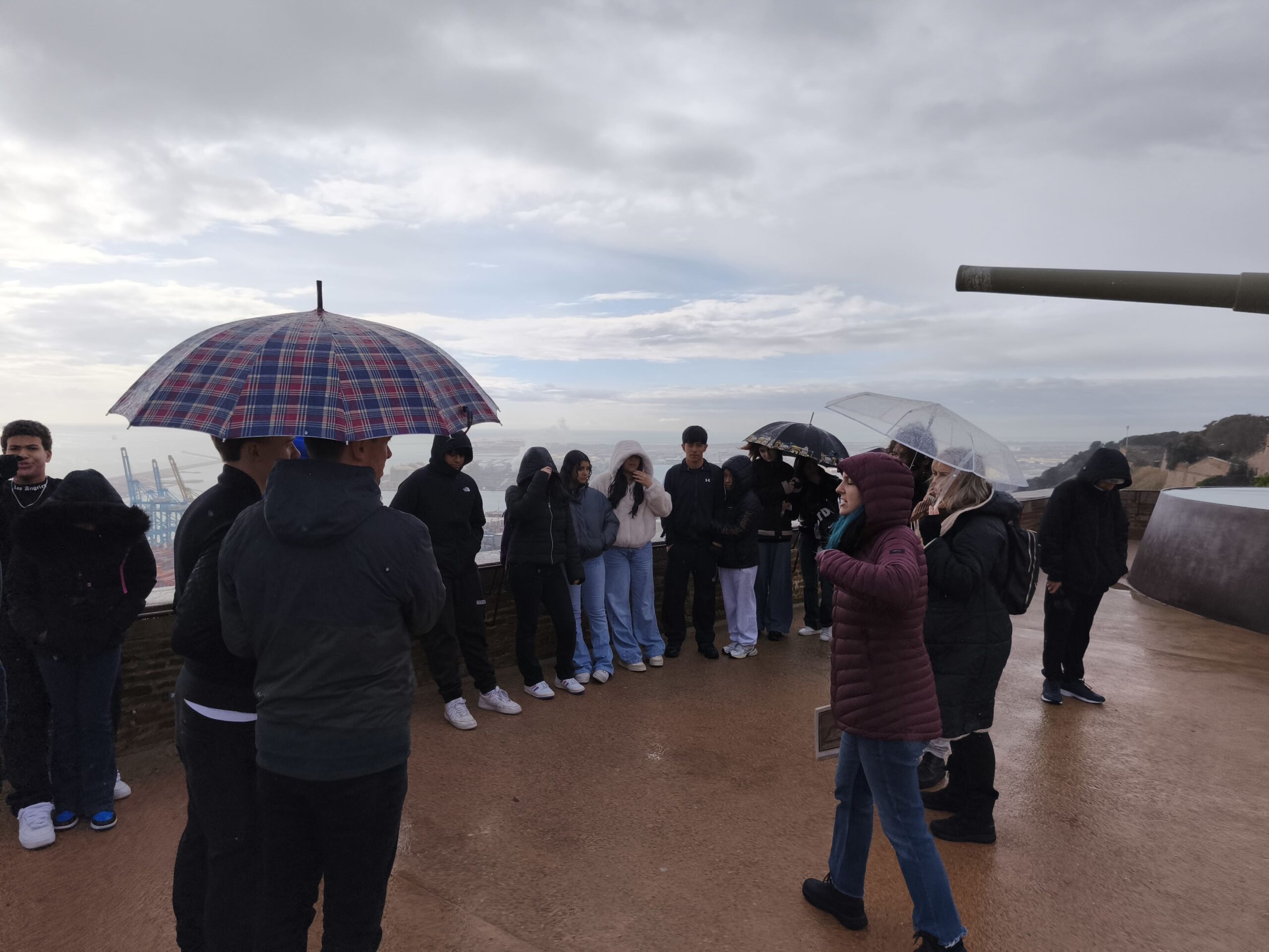 IMG_20260119_112545 (1)