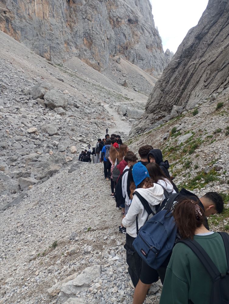 Còpia de 1718225830787