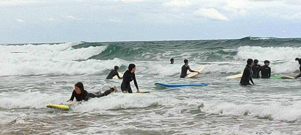 Còpia de IMG20240611110809